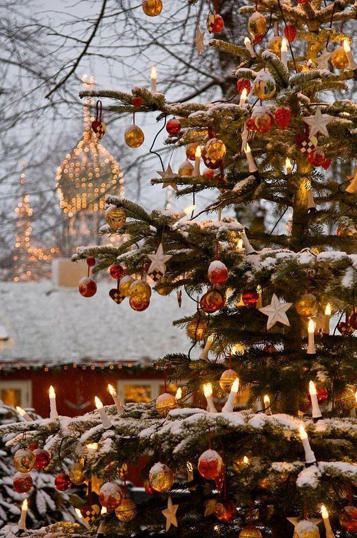 736x1109 beautiful photo of Christmas in Copenhagen, Denmark. Christmas wallpaper, Christmas wonderland, Christmas aesthetic