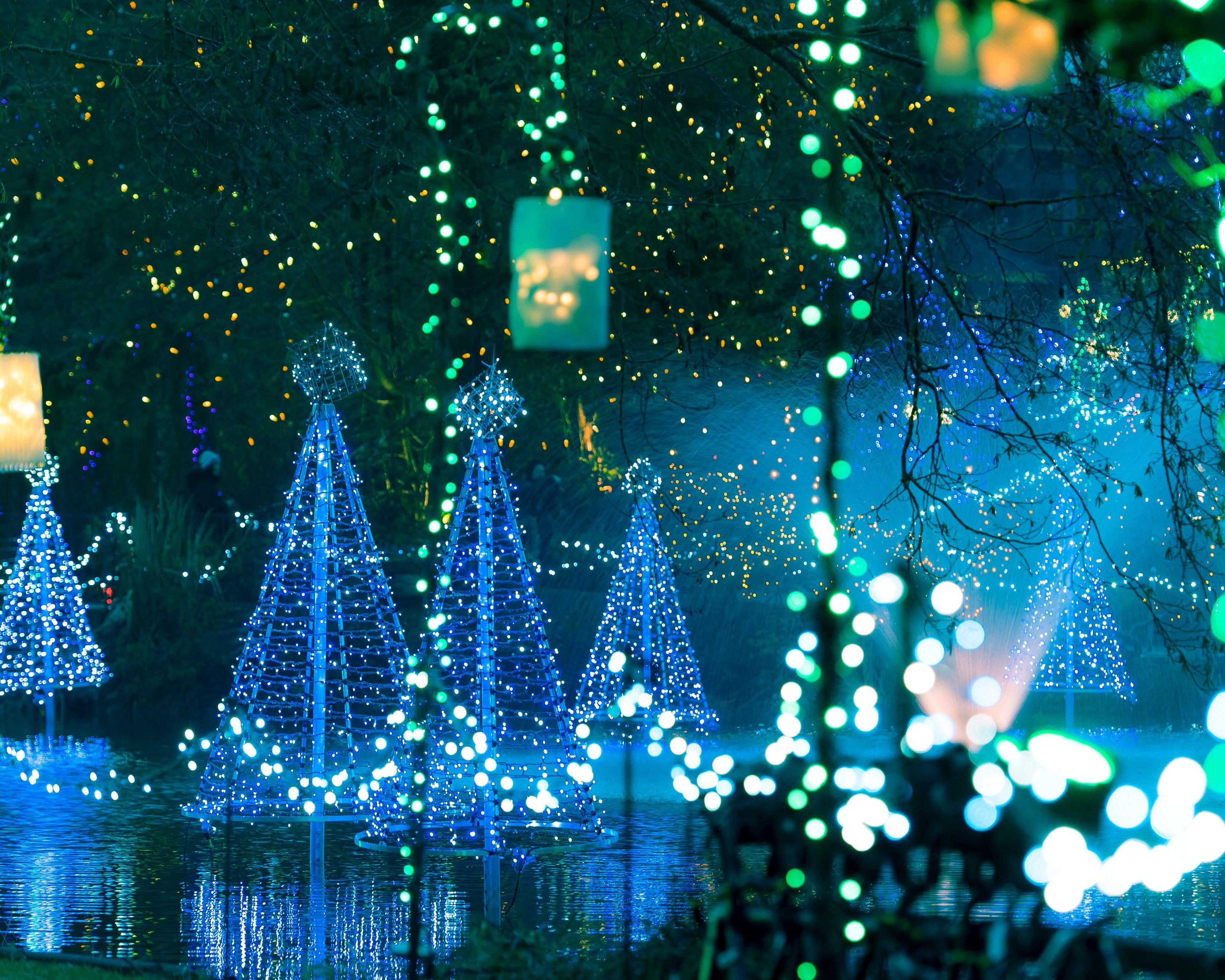 3335x2668 Where to See the World's Best Christmas Lights. Condé Nast Traveler