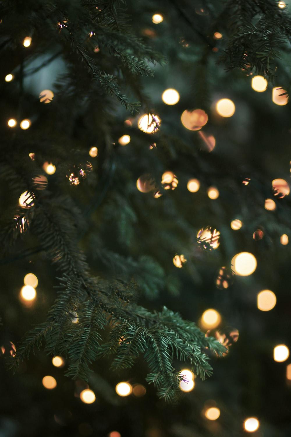 1000x1500 Christmas Lights Picture [HD] [2019]. Download Free Image