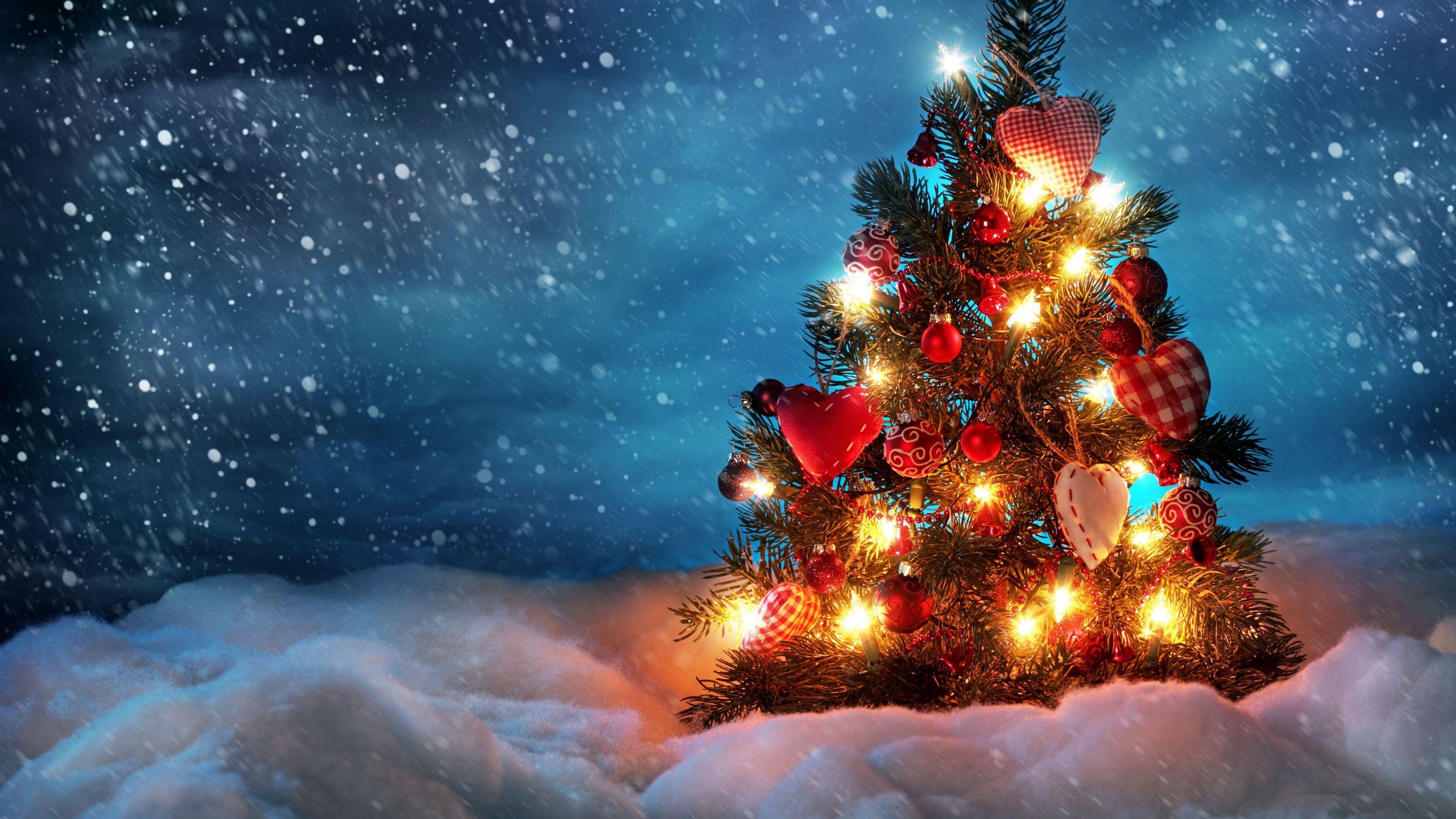 3840x2160 tree, new year, christmas, snow, holiday, night, garland 4k tree, new year, Christmas. Mensagem de natal, Árvore de natal, Noite de natal