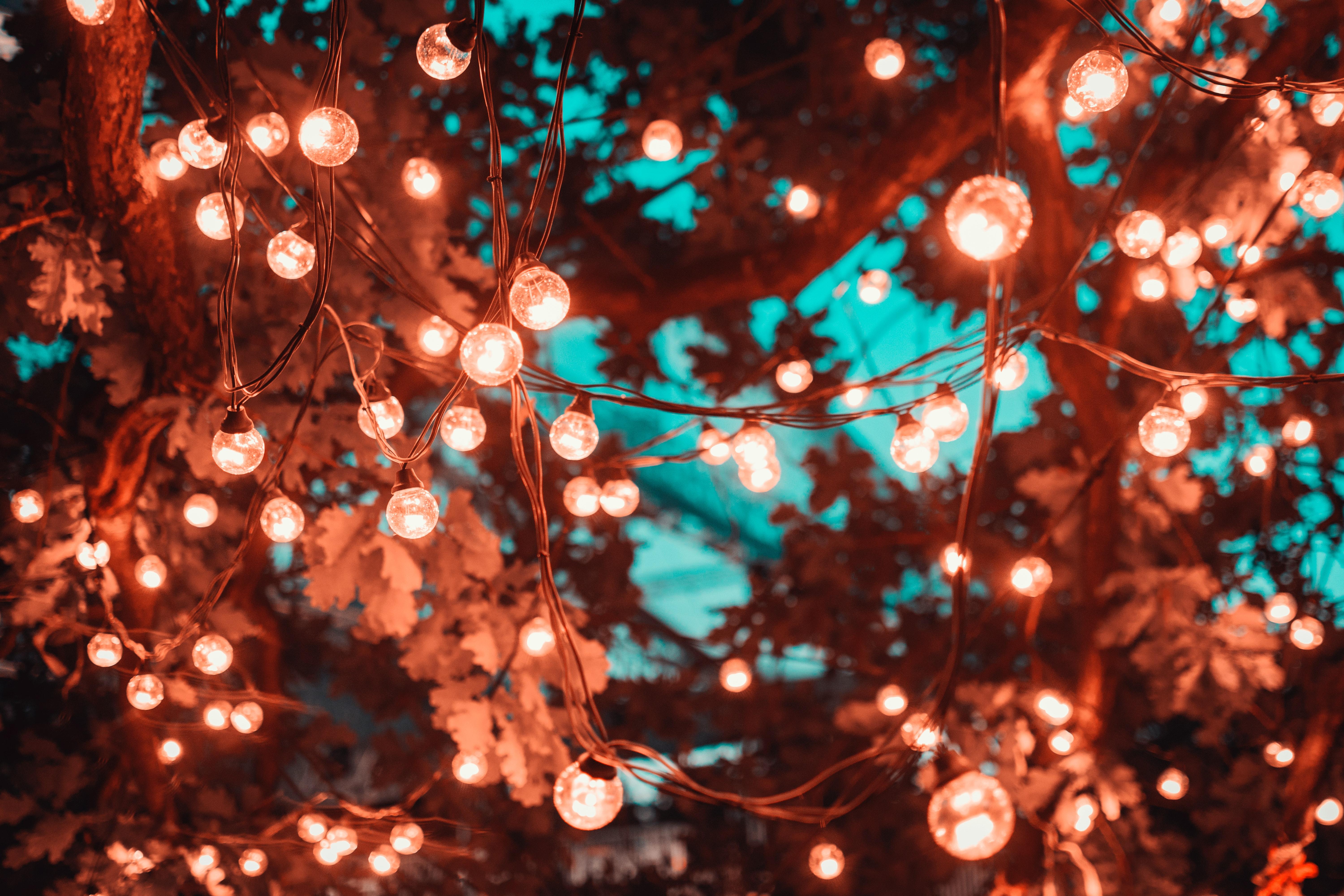 6000x4000 Fairy Lights Photo, Download Free Fairy Lights & HD Image