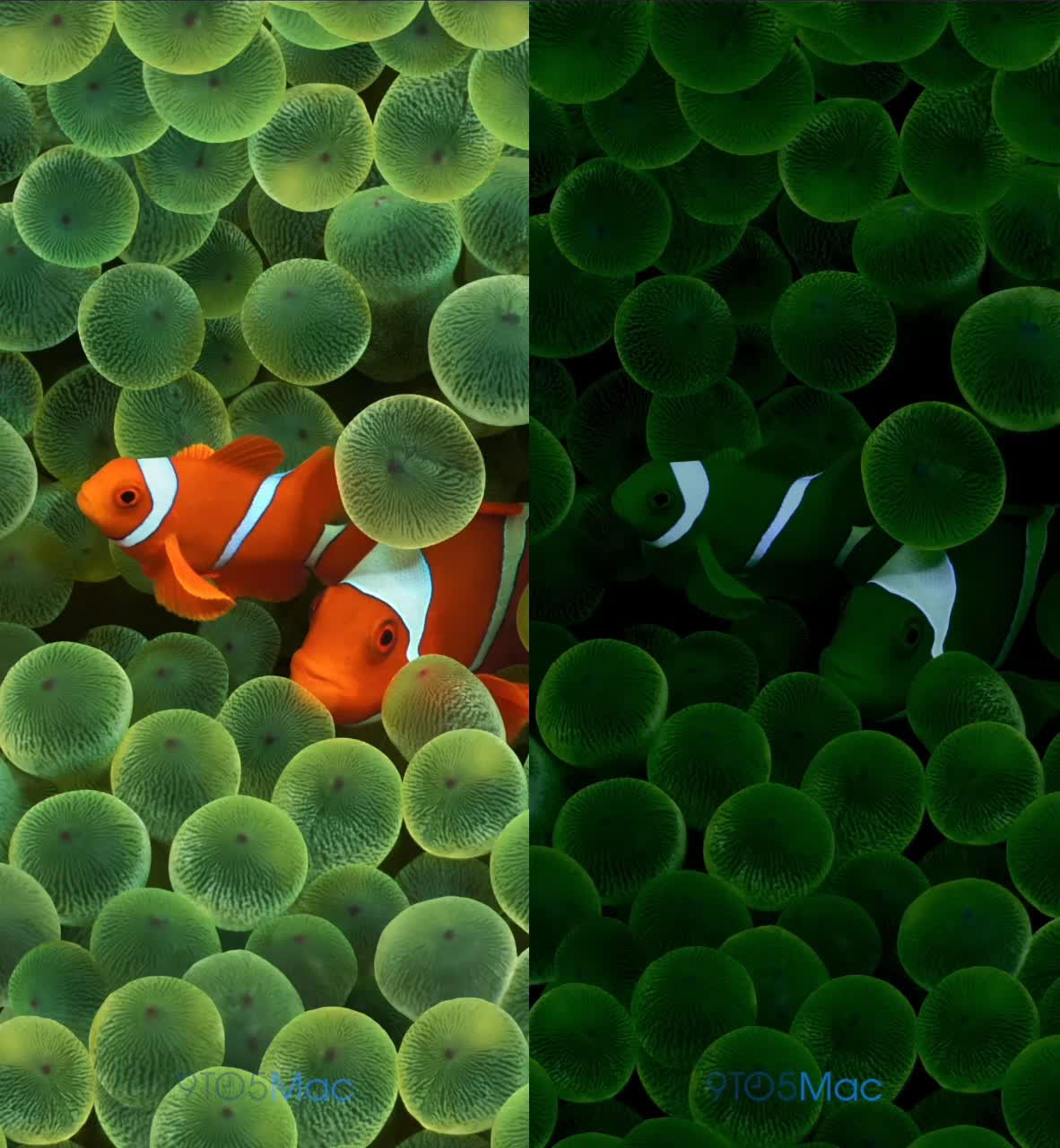 1182x1280 