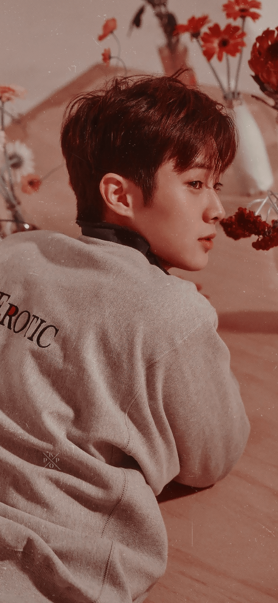 Choi Woo Shik Wallpapers - Top Free Choi Woo Shik Backgrounds