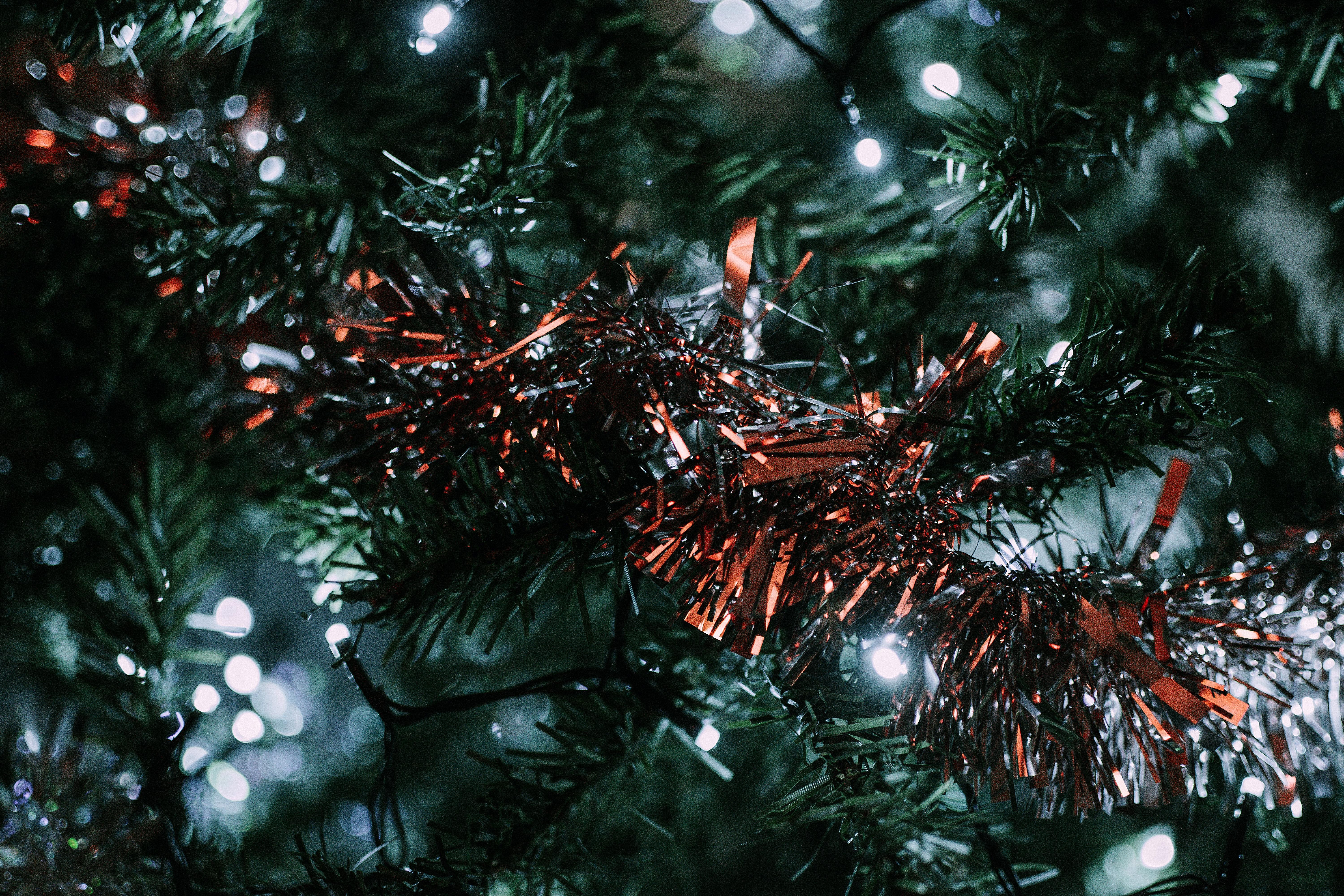 6000x4000 Christmas Wallpaper 58 Photo & Videos Collected