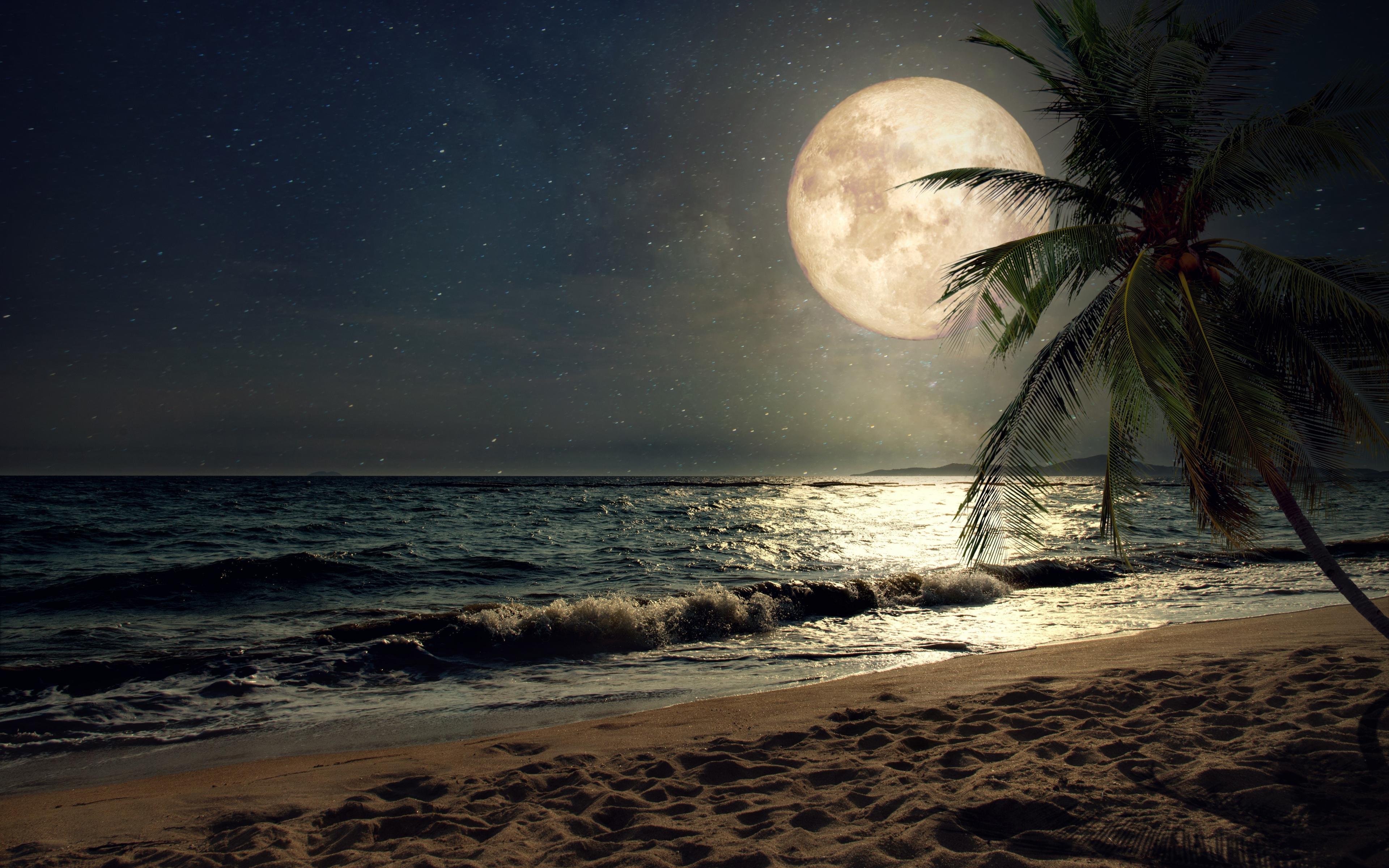 3840x2400 Download wallpaper 3840x2400 beach, sand, night's moon, palm tree, nature 4k wallaper, 4k ultra HD 16:10 wallpaper, 3840x2400 HD background, 8489