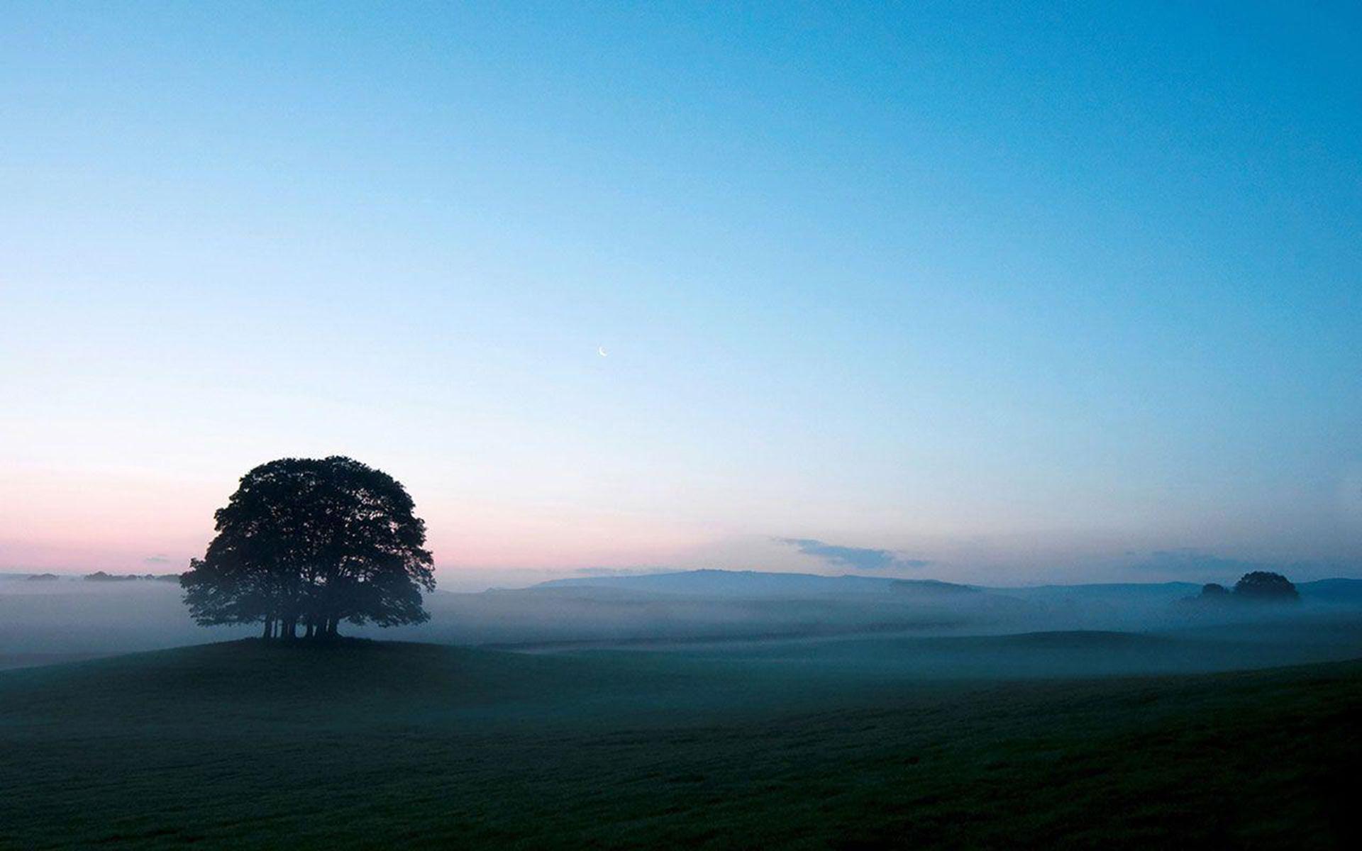 1920x1200 Nature Aesthetic Desktop Wallpaper HD