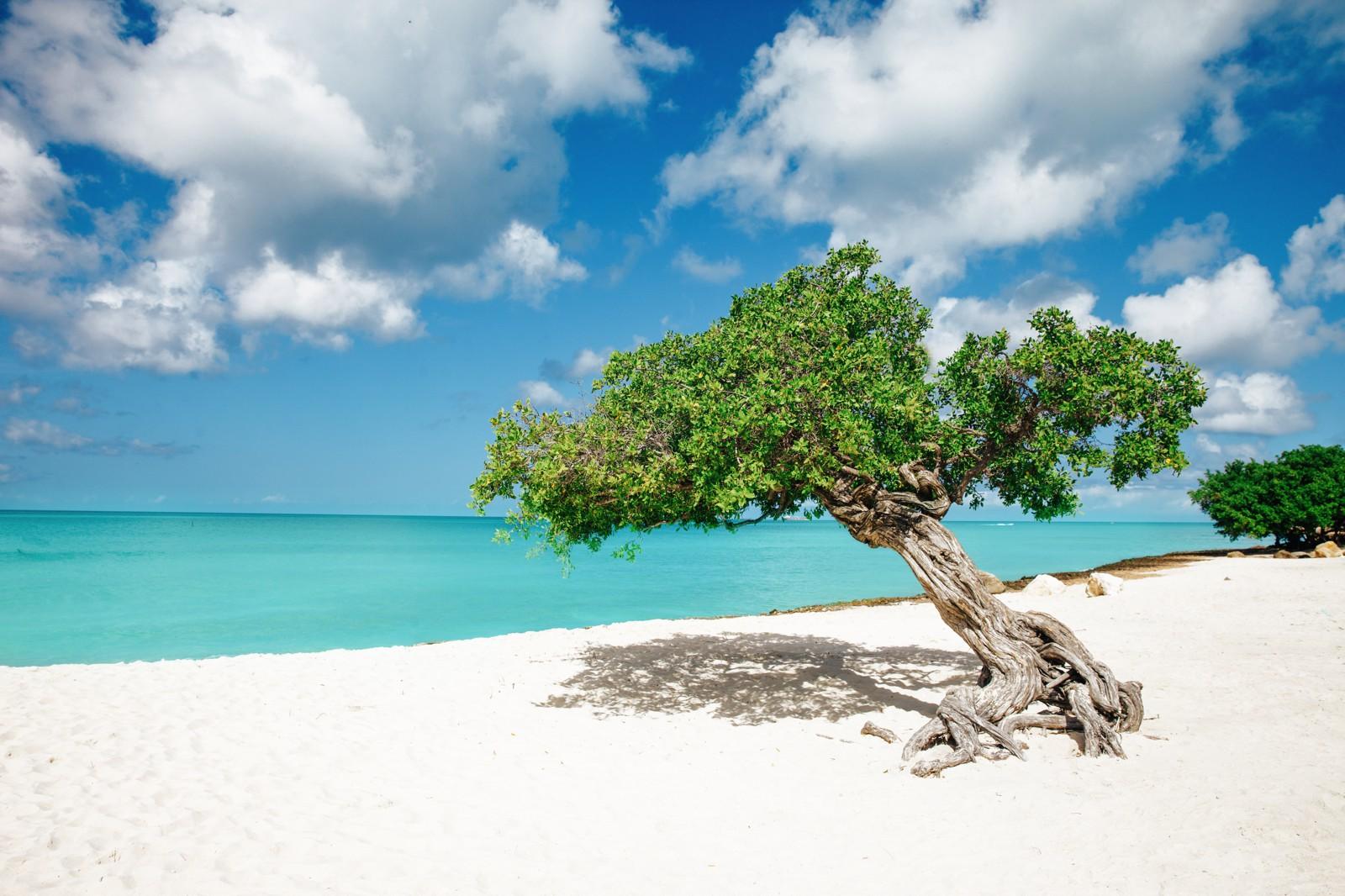 1600x1066 Fun Experiences You Need To Have In The Caribbean Island Of Aruba Luggage Only, Food & Photography Blog