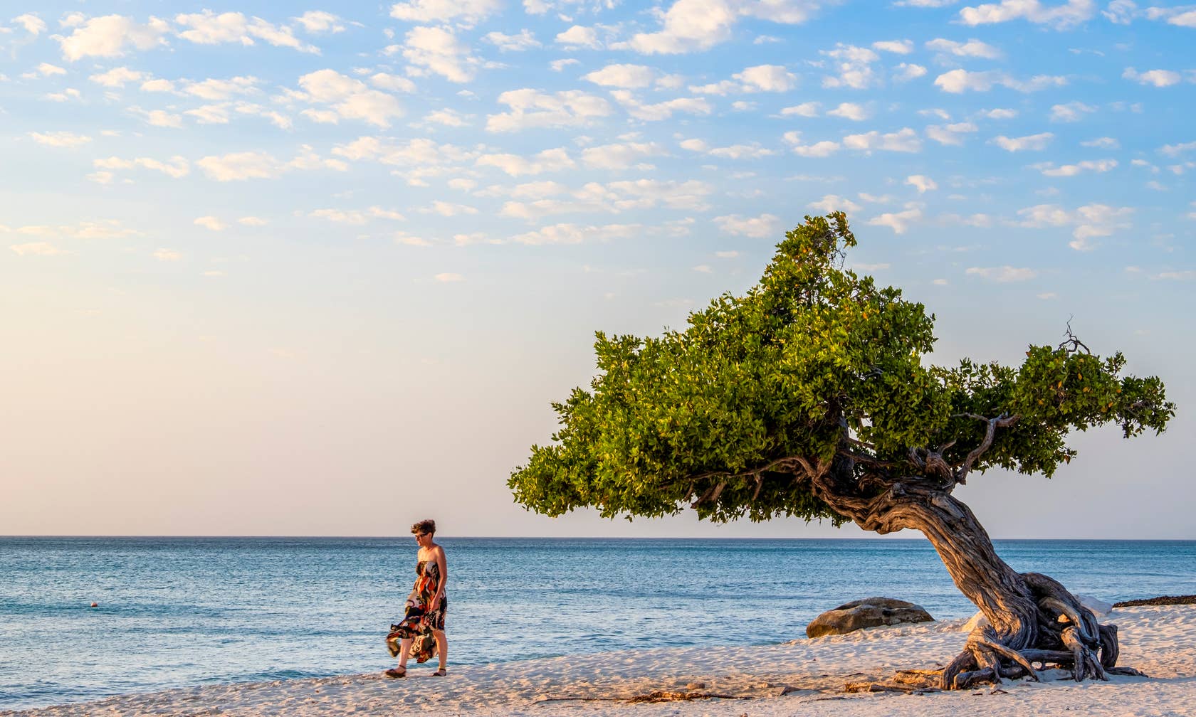 1680x1008 Aruba Vacation Rentals. Resort and Villa Rentals