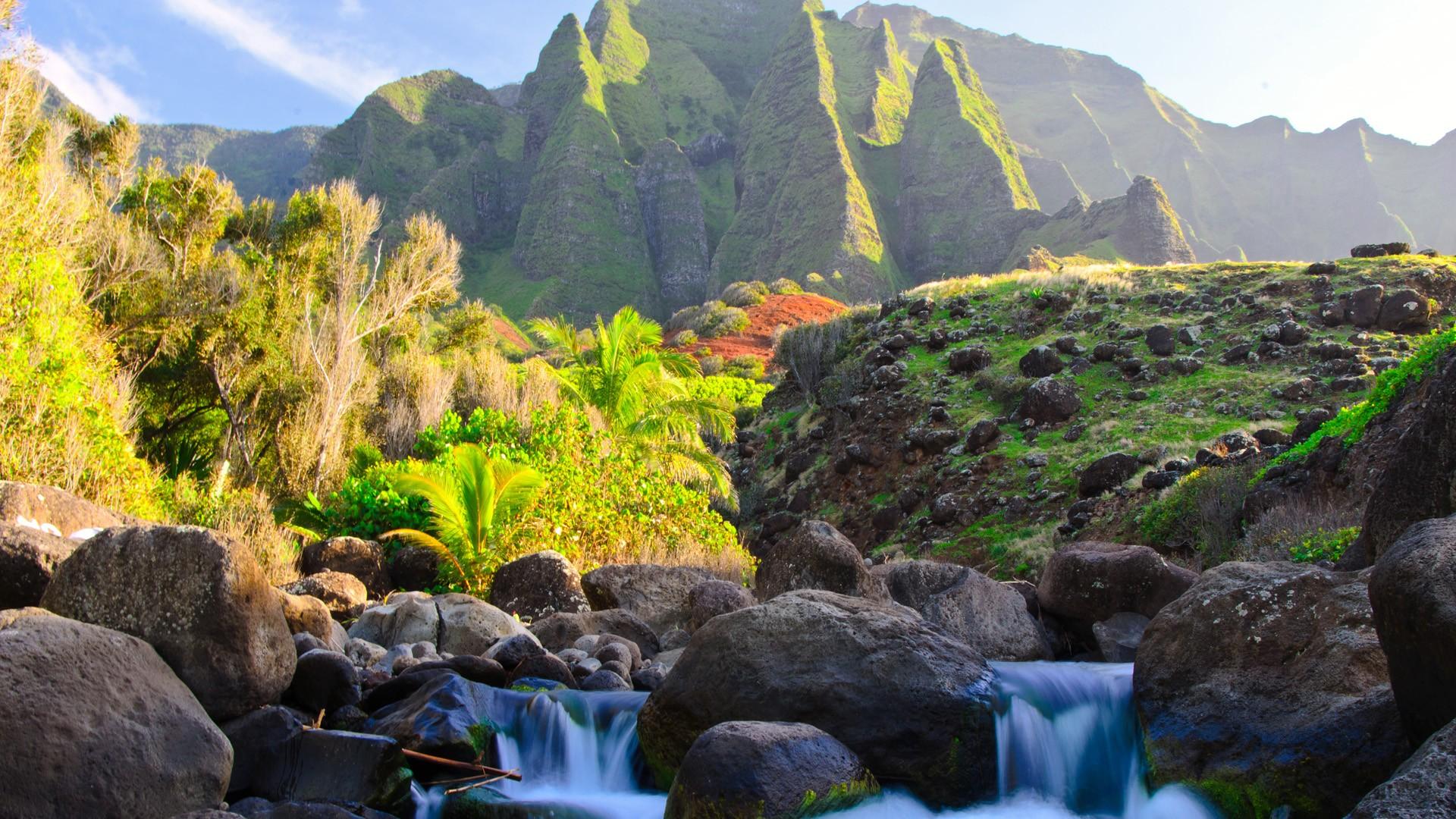 1920x1080 Nature Hawaii Wallpaper HD