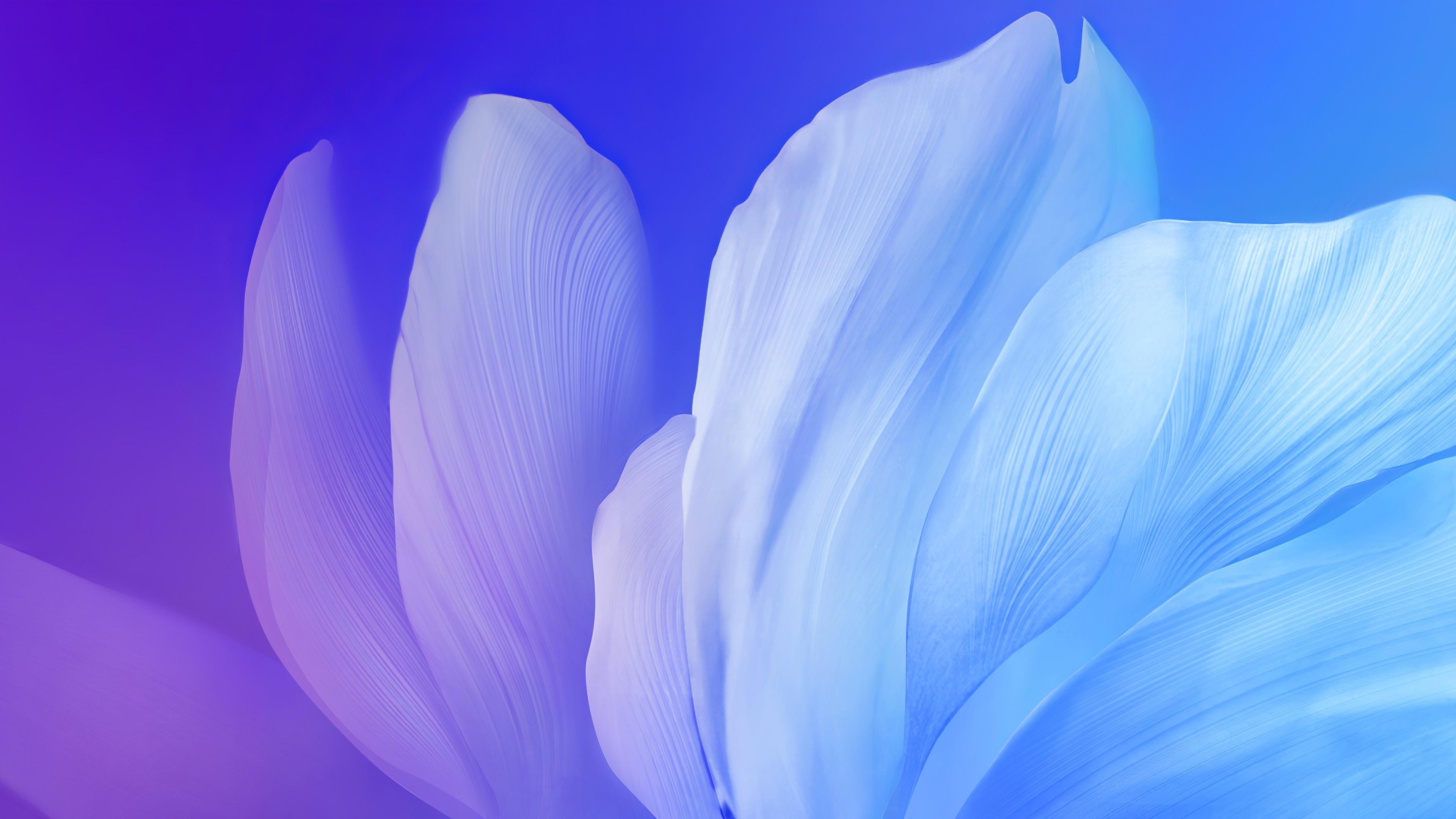 3840x2160 Full HD 1080p Vivo V17 wallpaper free download
