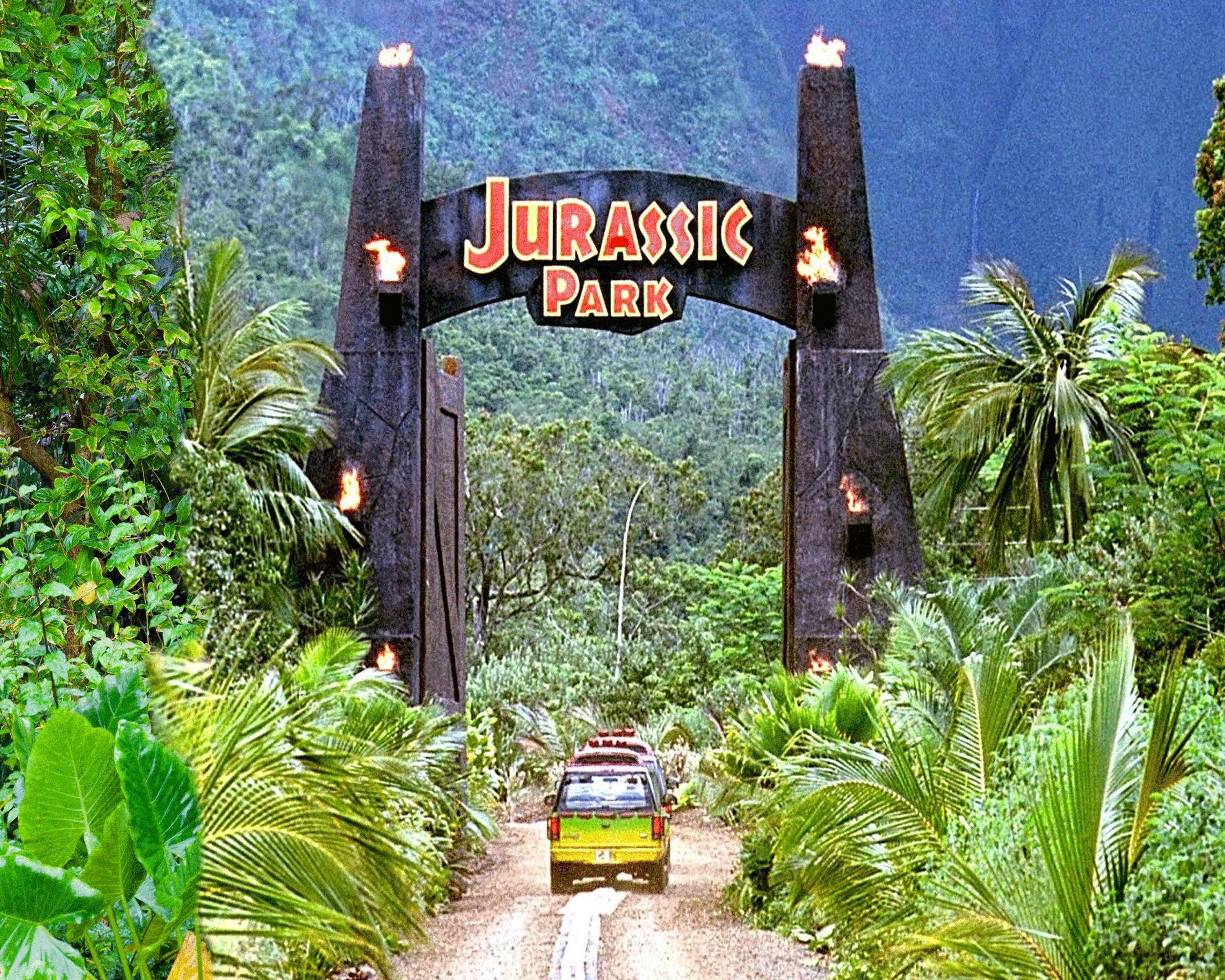 3000x2400 Jurassic Park Background Petbackdrops Terrarium Background. Jurassic park, Jurassic park birthday party, Jurassic park birthday