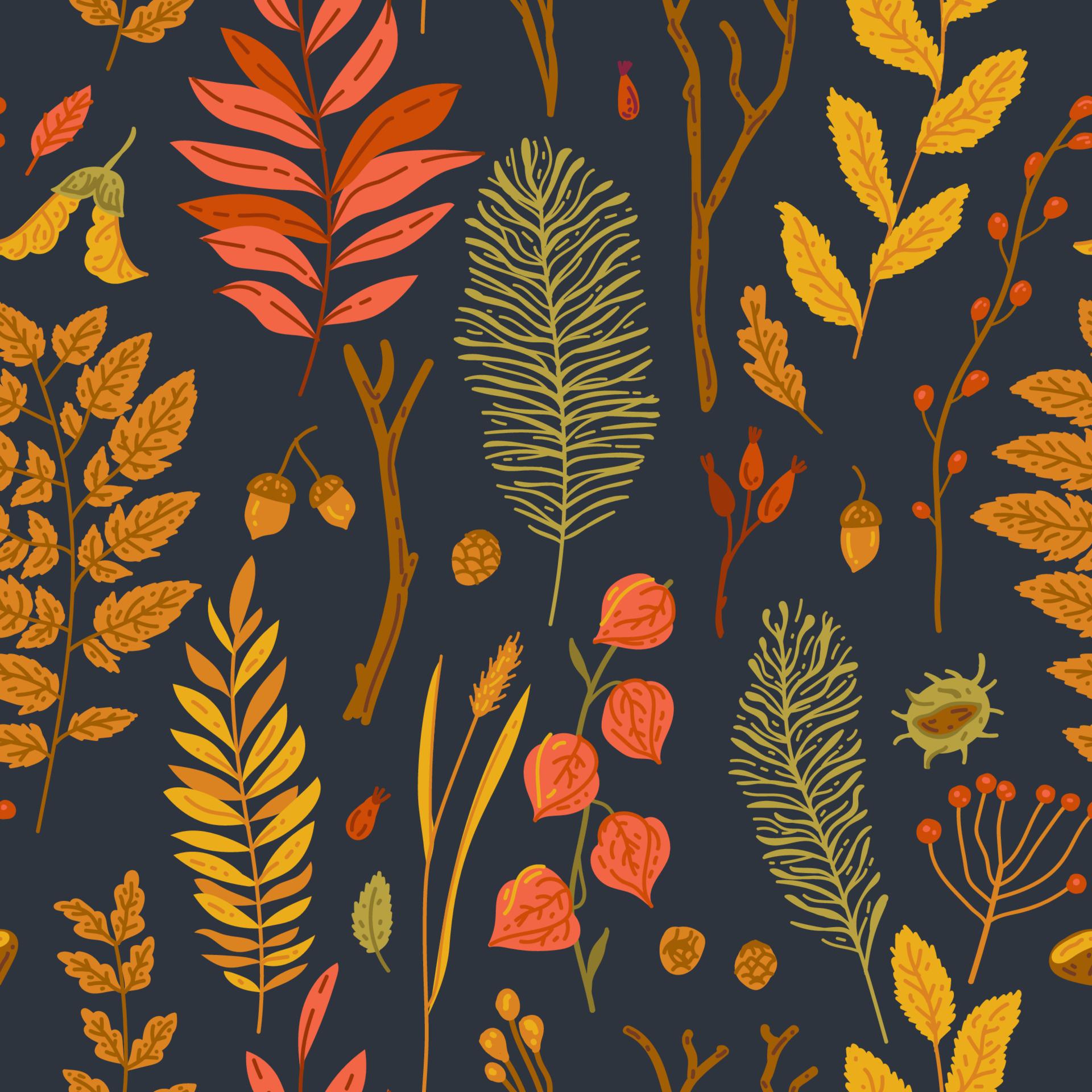 autumn illustration free download