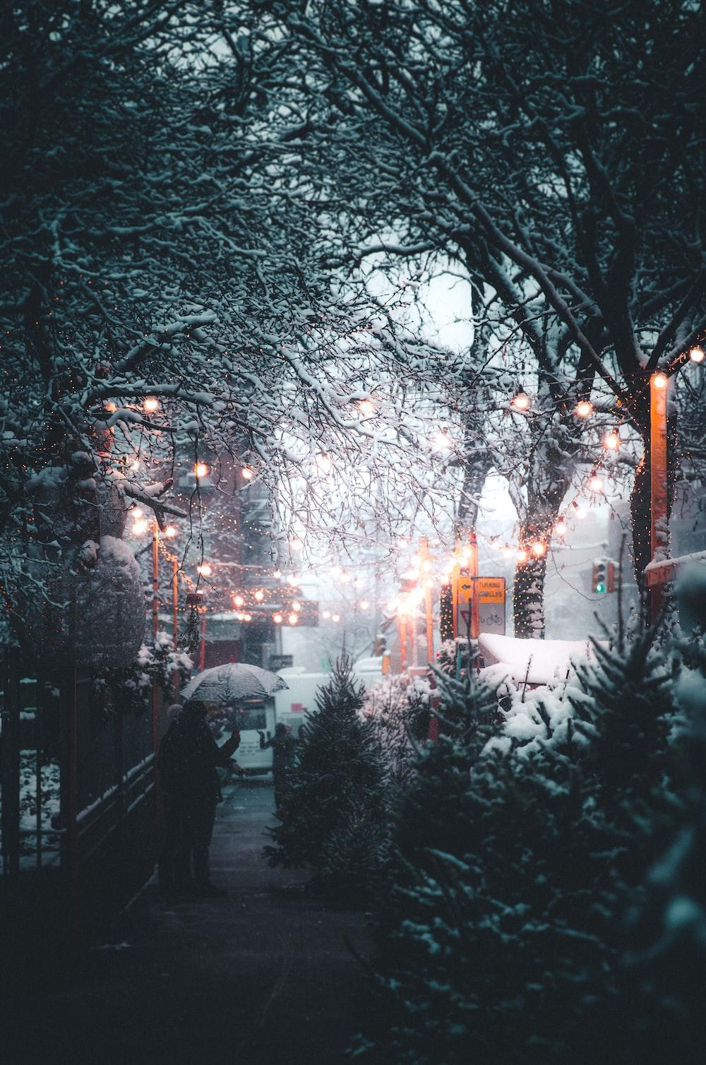 1000x1508 person holding umbrella near streetlight and trees at daytime photo