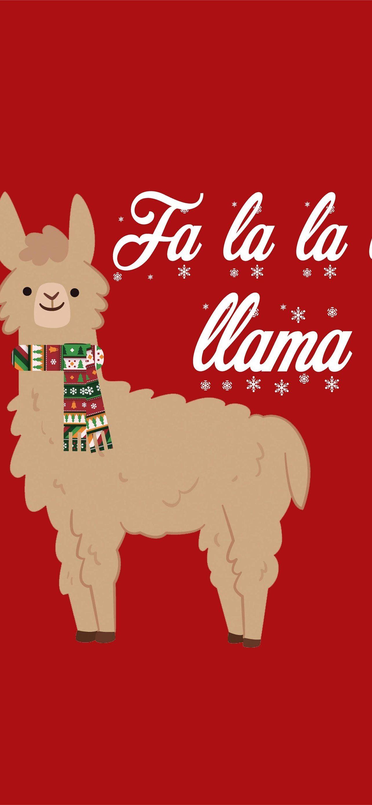 1284x2778 llama iPhone Wallpaper Free Download
