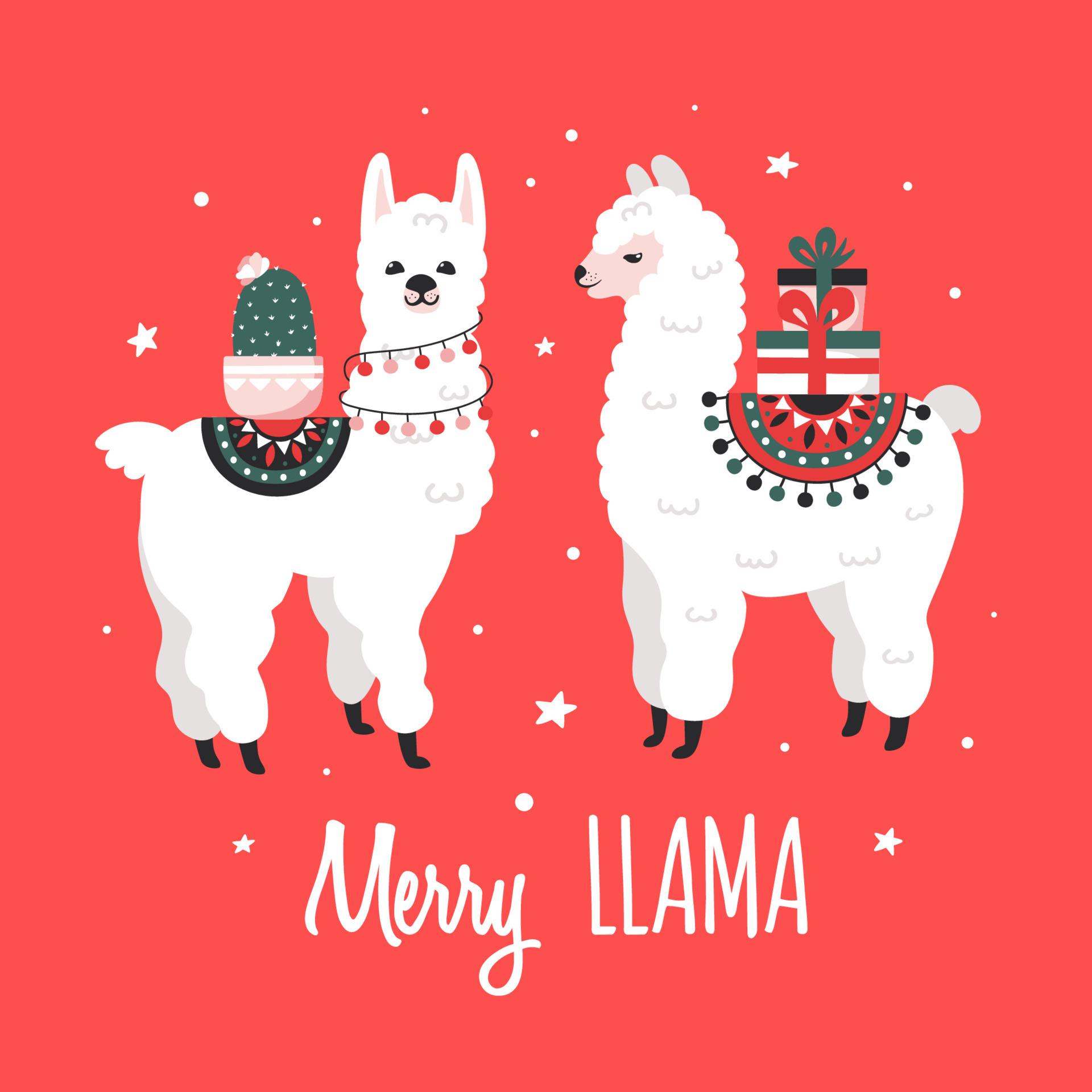 Christmas Llama Wallpapers - Top Free Christmas Llama Backgrounds