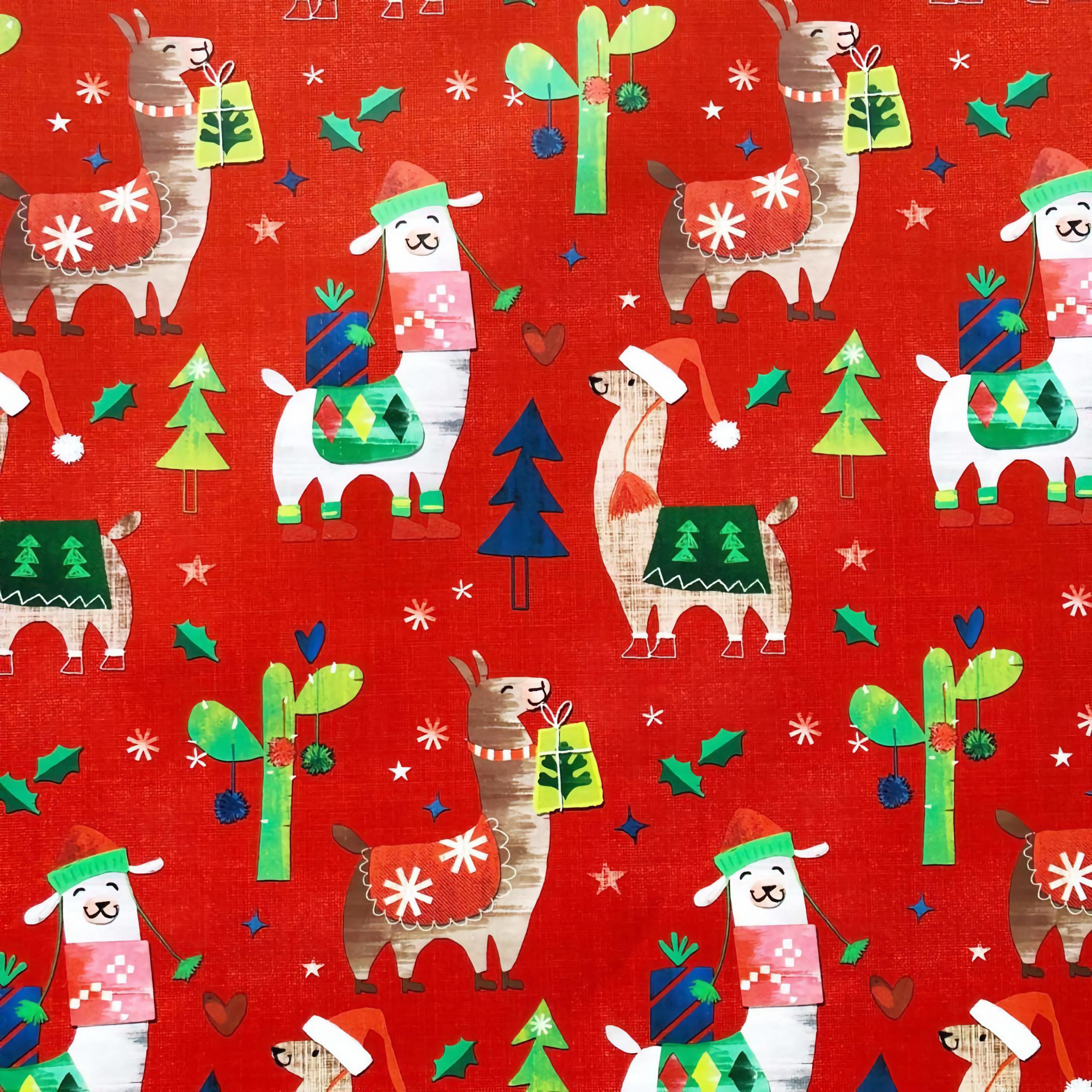 2560x2560 Llama Wrapping Wallpaper