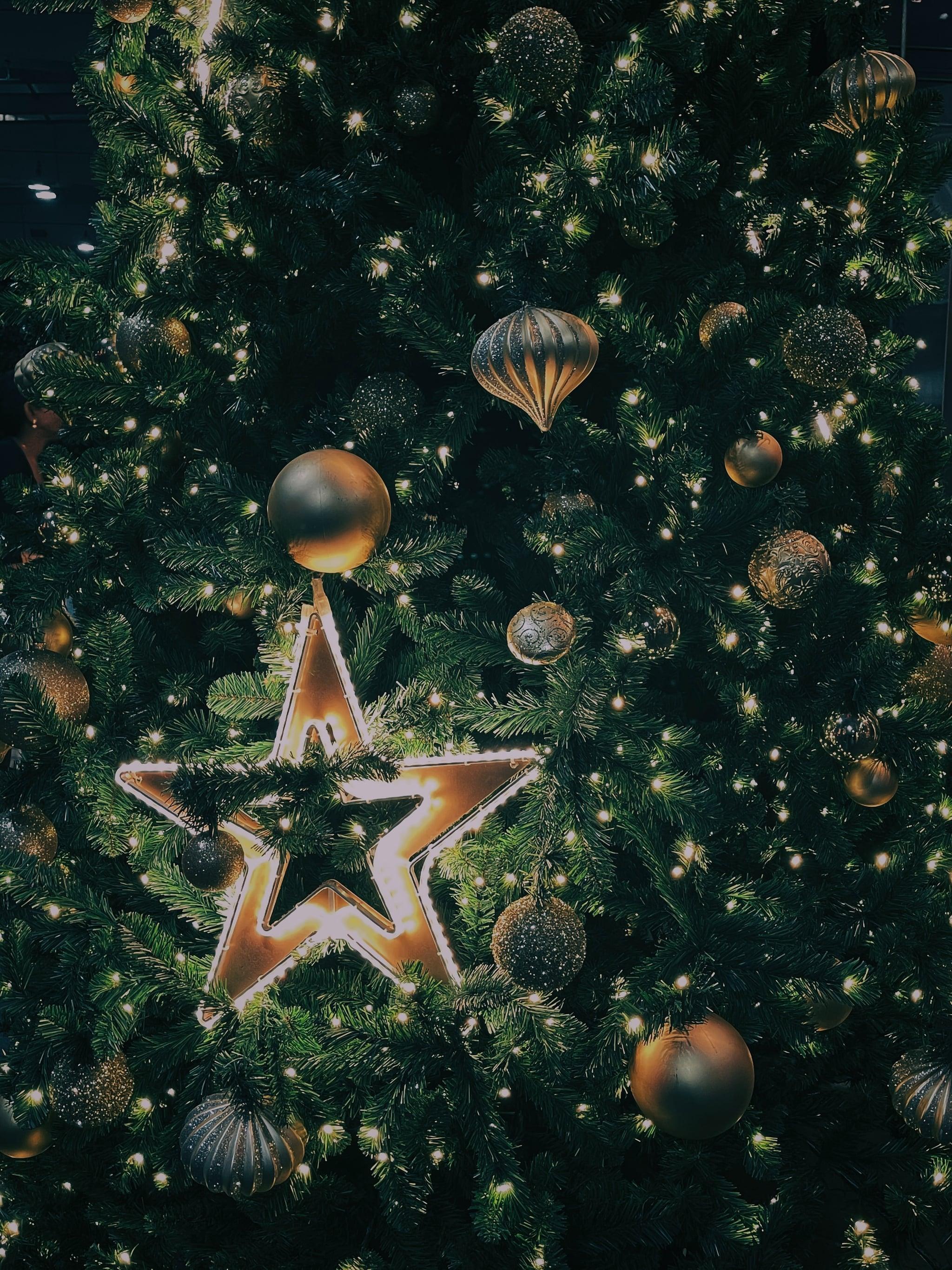 2048x2731 iPhone Christmas Wallpaper