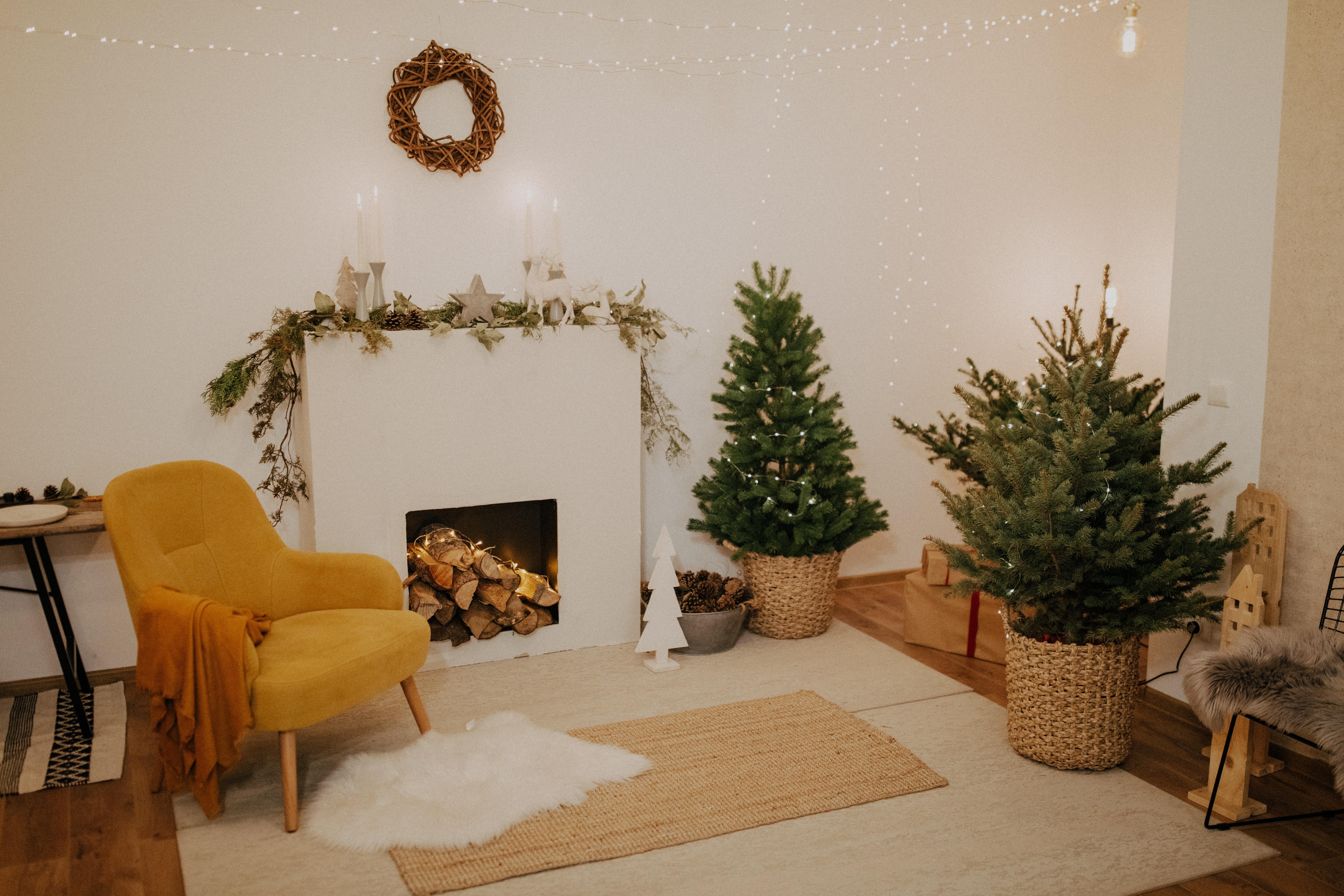6583x4389 Green Christmas Tree Beside Window Inside Room · Free