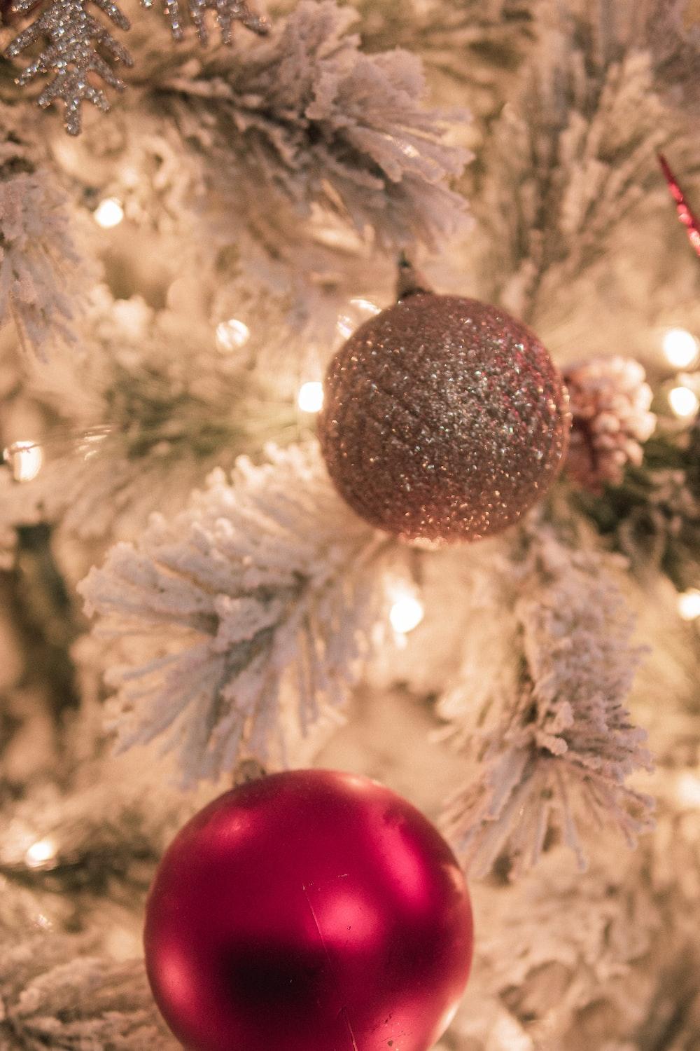 1000x1500 Free Christmas tree Image