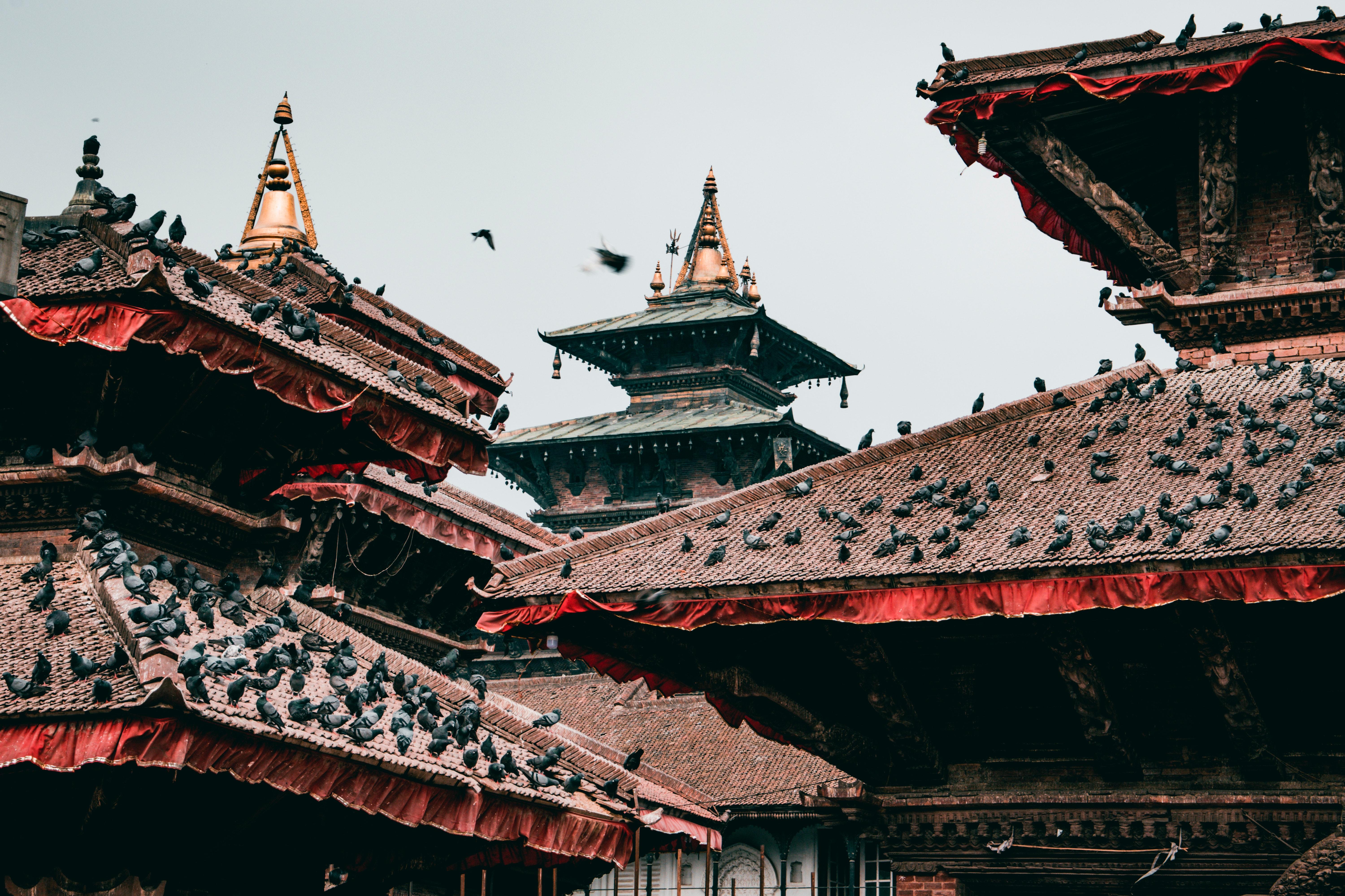 6000x4000 Nepal Temple Photo, Download Free Nepal Temple & HD Image