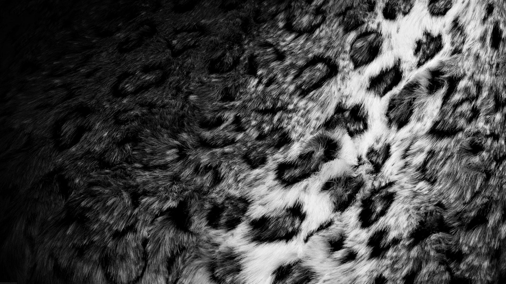 1920x1080 1920x1080 Skin, Fur, Leopard, Black white, Texture wallpaper JPG Gallery HD Wallpaper
