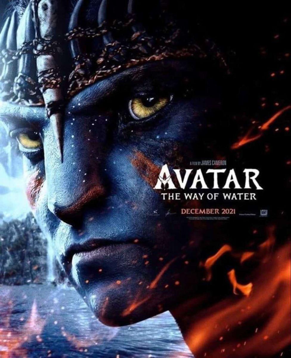 976x1200 Avatar 2 The Way Of Water Wallpaper