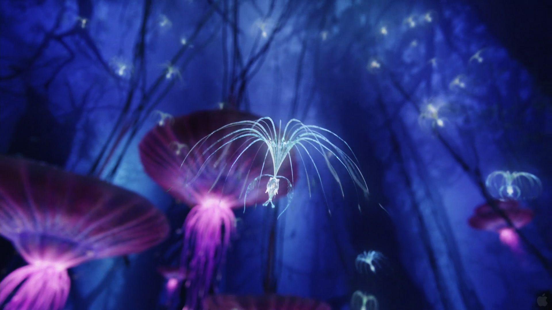 1920x1080 Avatar 2 The Way Of Water Wallpaper