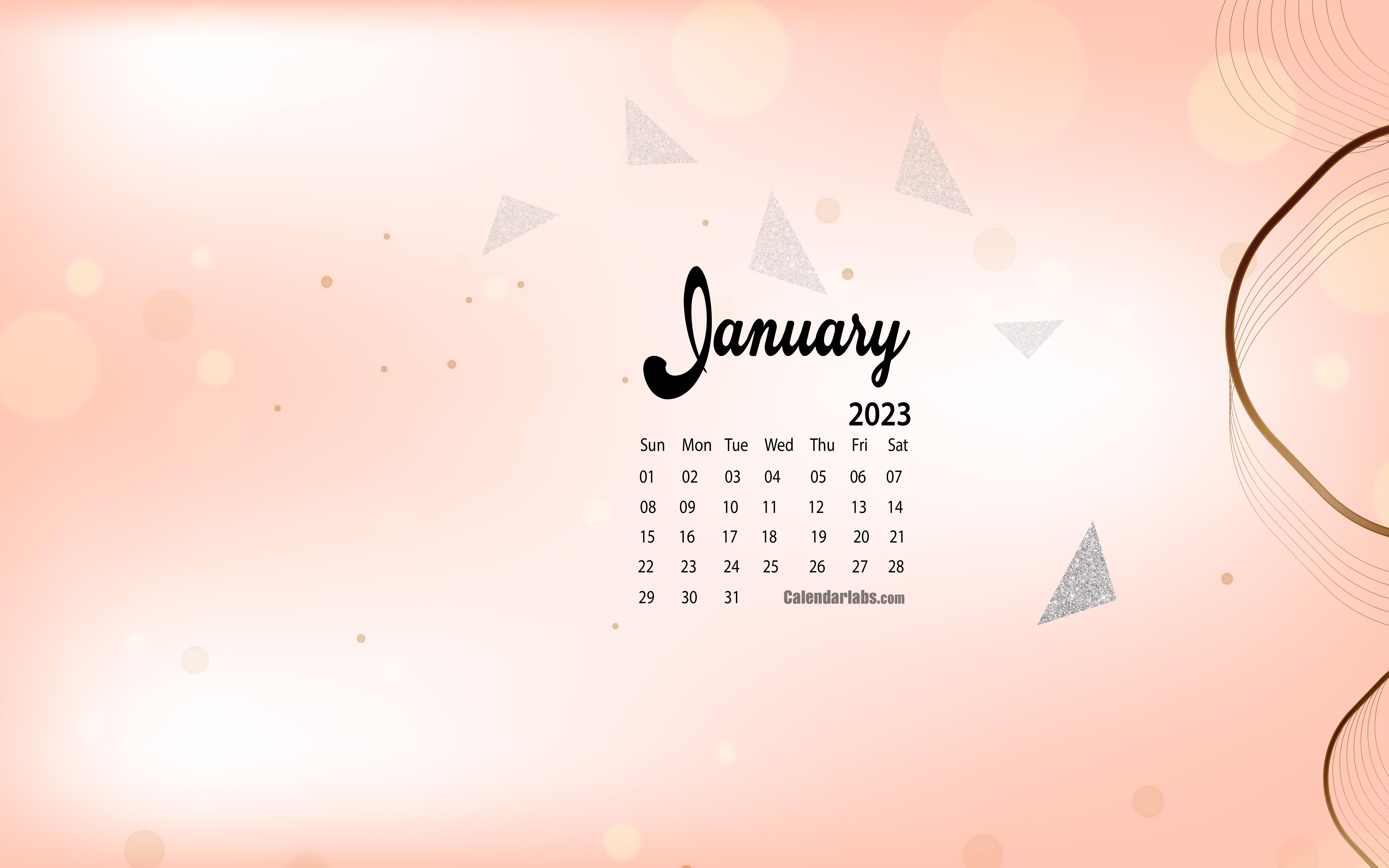 January 2023 Calendar Wallpapers - Top Free January 2023 Calendar  Backgrounds - Wallpaperaccess