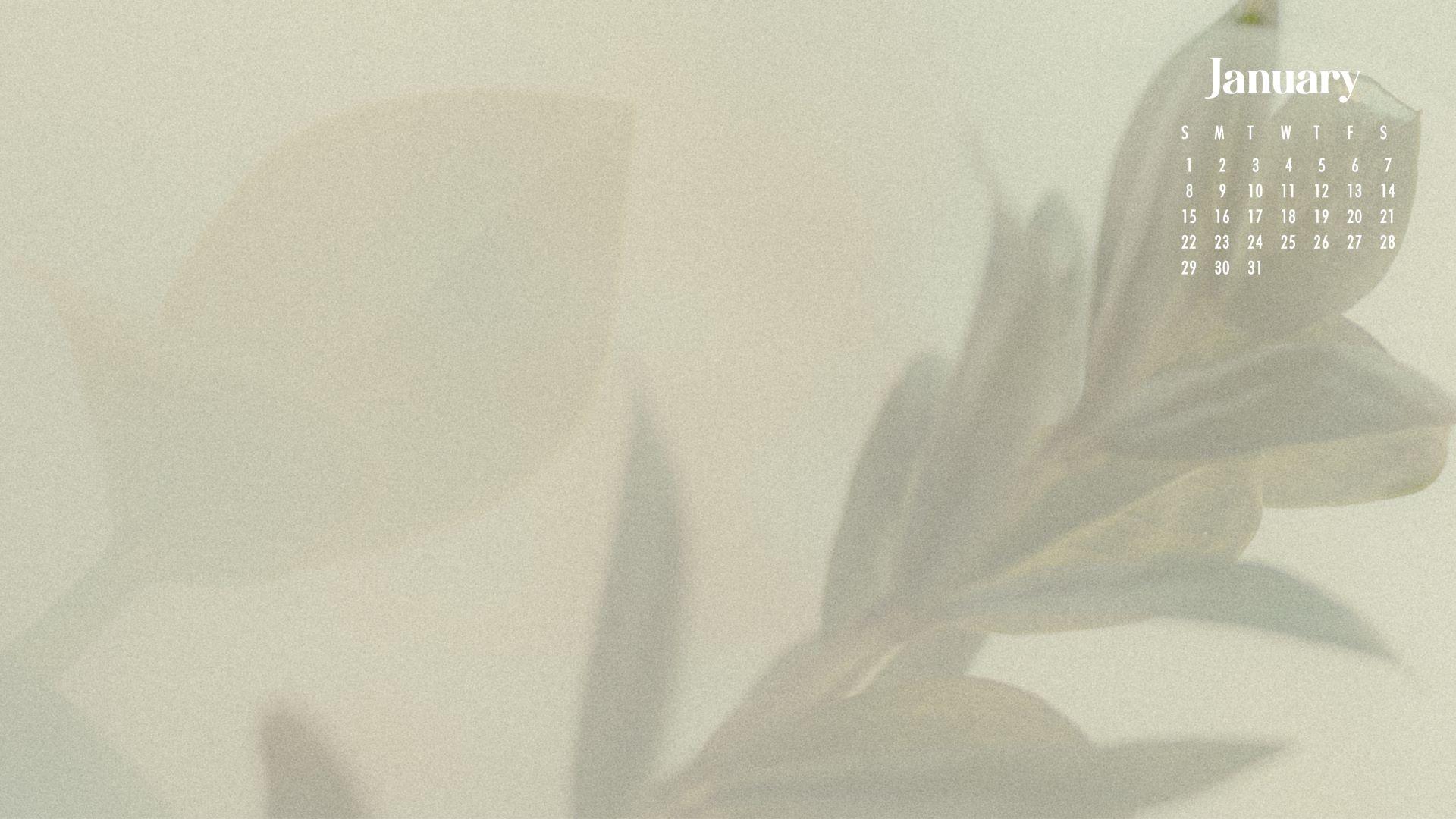 1920x1080 January Wallpaper Best Desktop & Phone Background