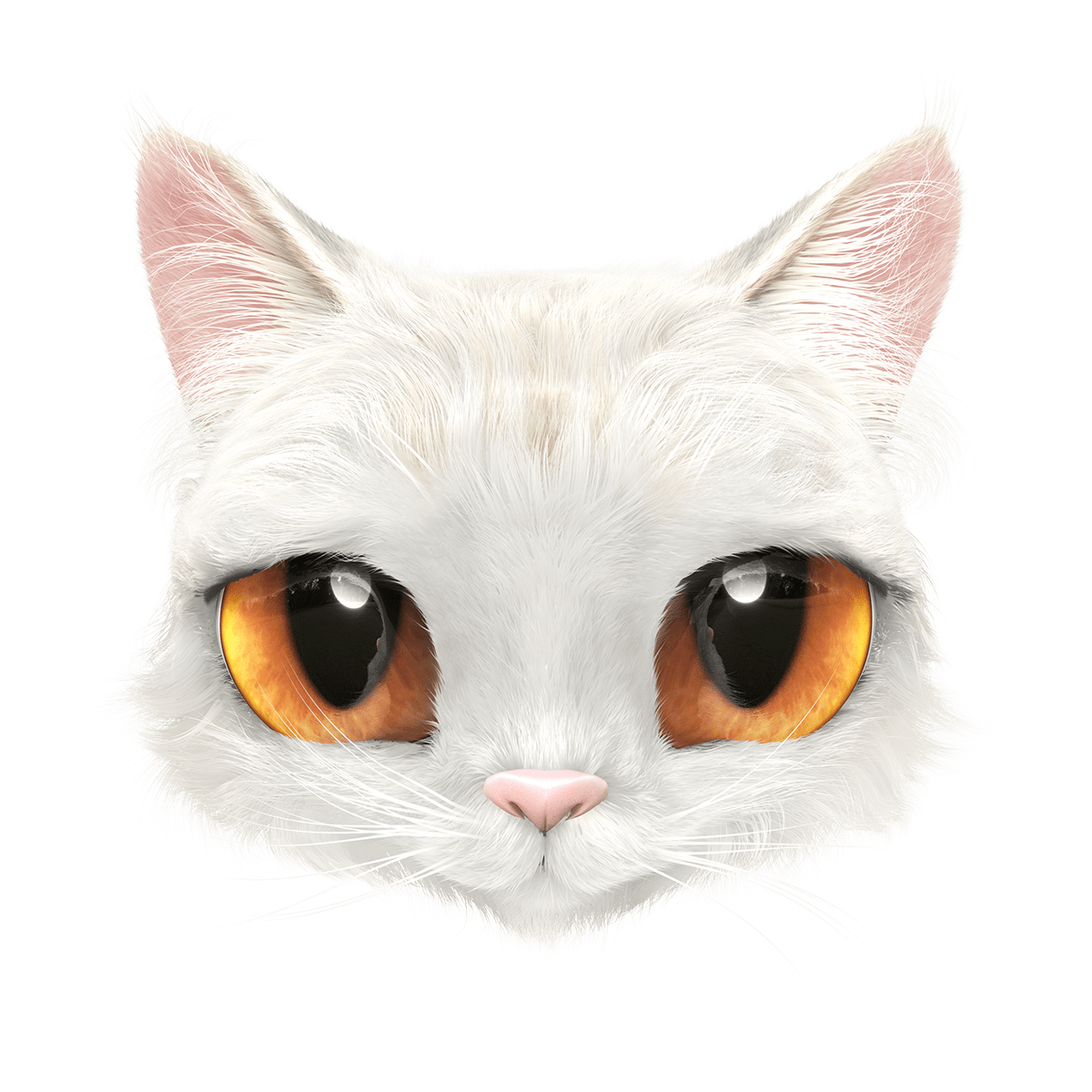 Stray Cat Wallpapers Top Free Stray Cat Backgrounds WallpaperAccess