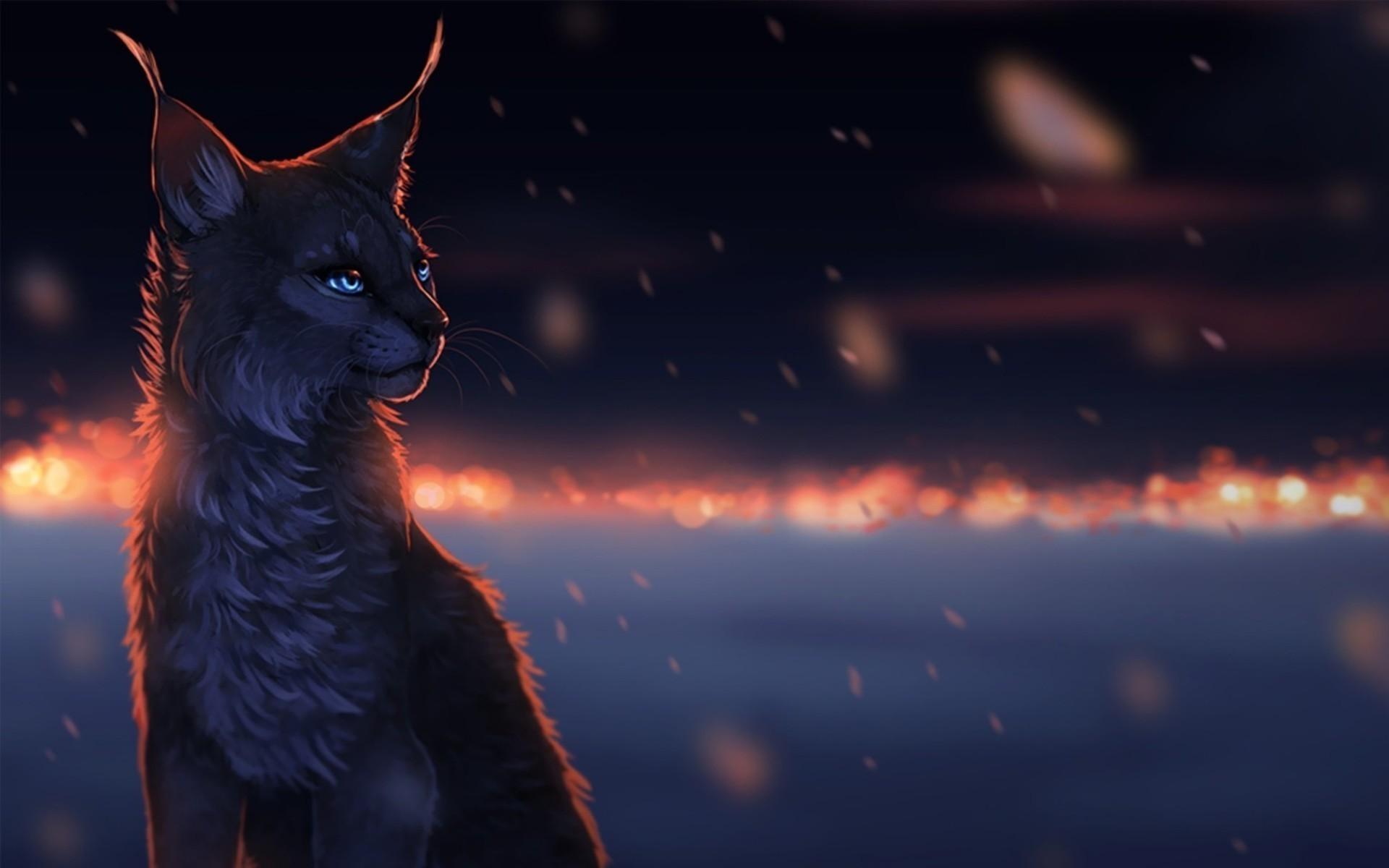 1920x1200 Space Cat Wallpaper. Background. Photo. Image