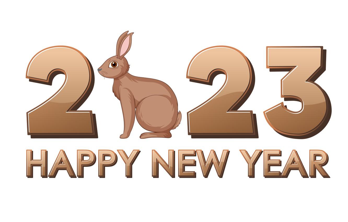 Rabbit Year Wallpapers - Top Free Rabbit Year Backgrounds - WallpaperAccess