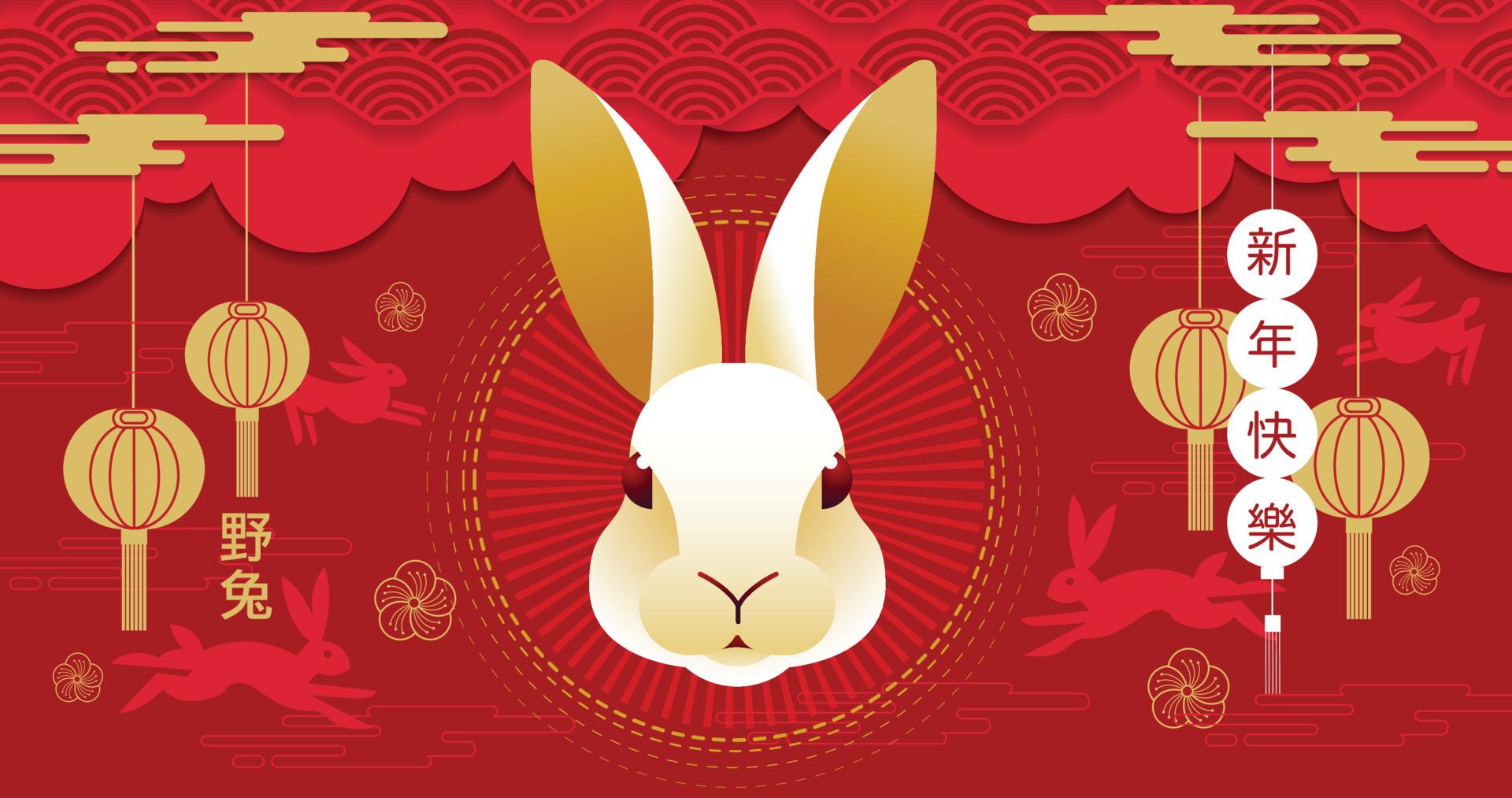 Rabbit Year Wallpapers Top Free Rabbit Year Backgrounds WallpaperAccess