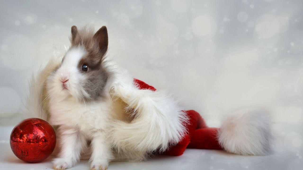 1280x720 Wallpaper rabbit, new year, ball hd, picture, image