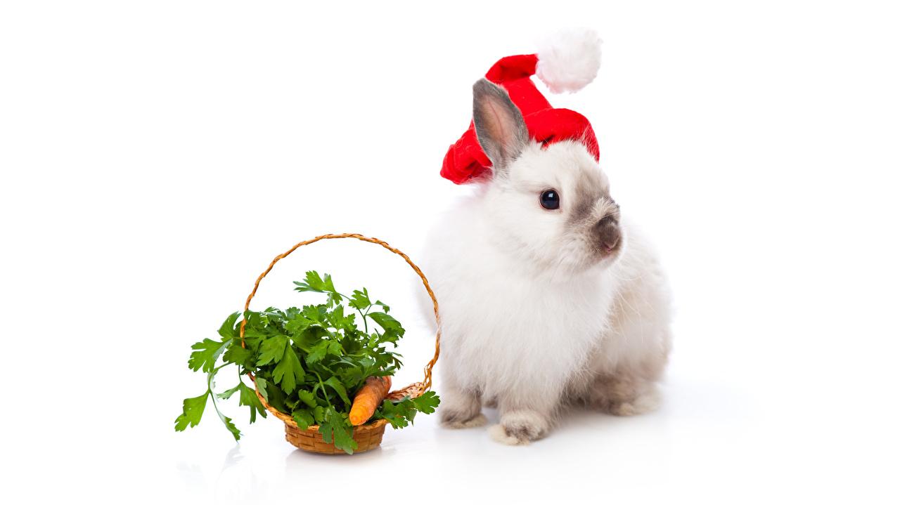 1280x719 Desktop Wallpaper rabbit New year Carrots Wicker basket Animals