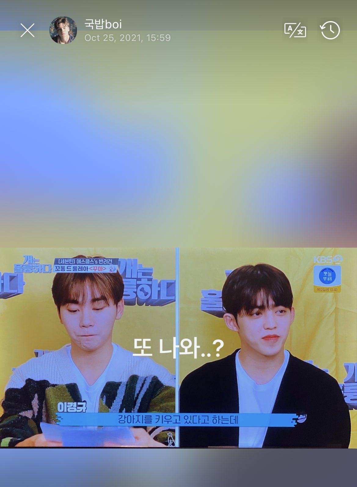 1169x1595 woozi best producer is so funny plz. Vernon is watching their variety shows. For racket boys Wah a celebrity (Seungkwan) For dogs are incredible again came out.? (Seungkwan