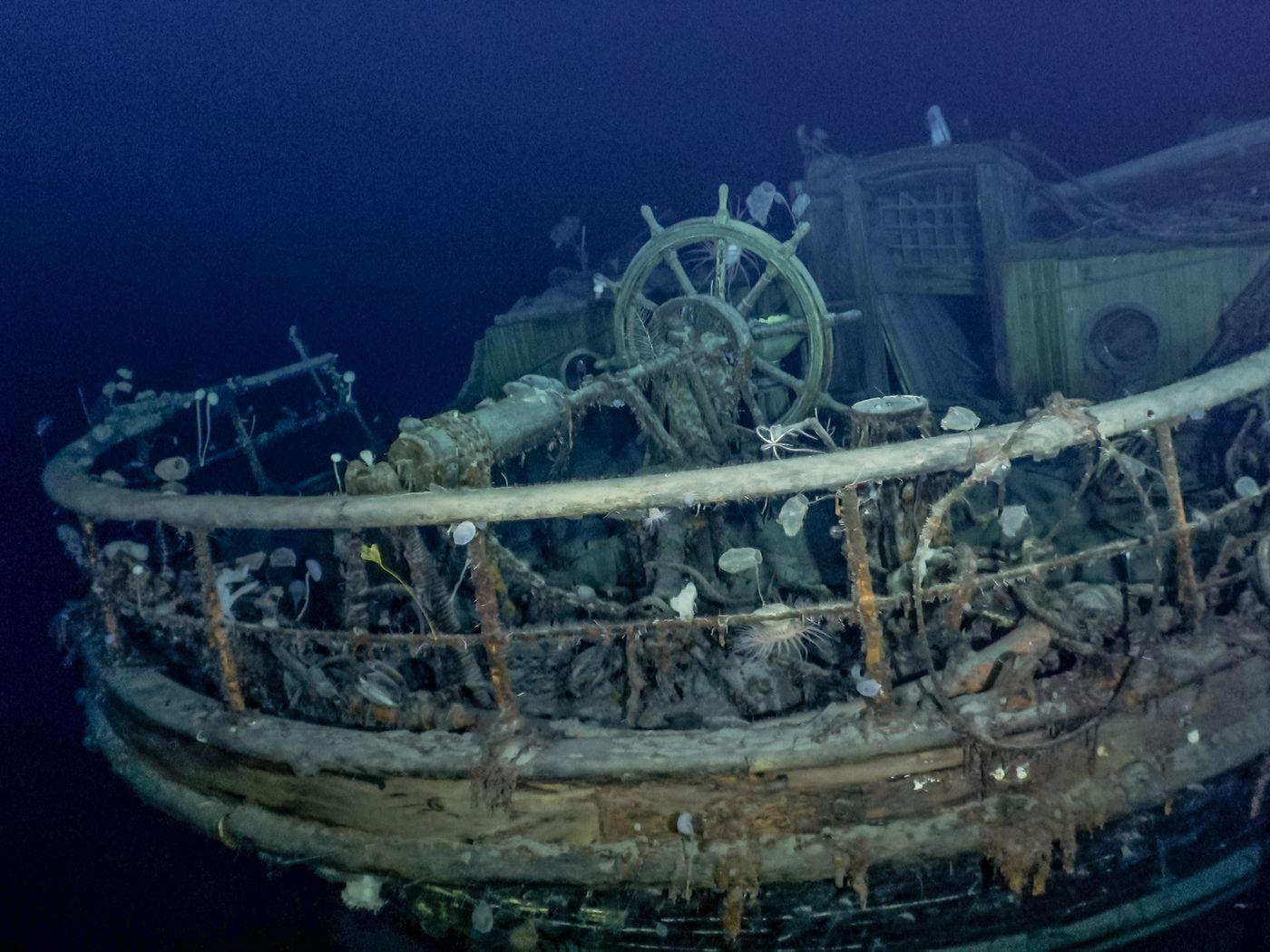 1400x1050 Photos: Strange Deep Sea Creatures Living On The Endurance Shipwreck