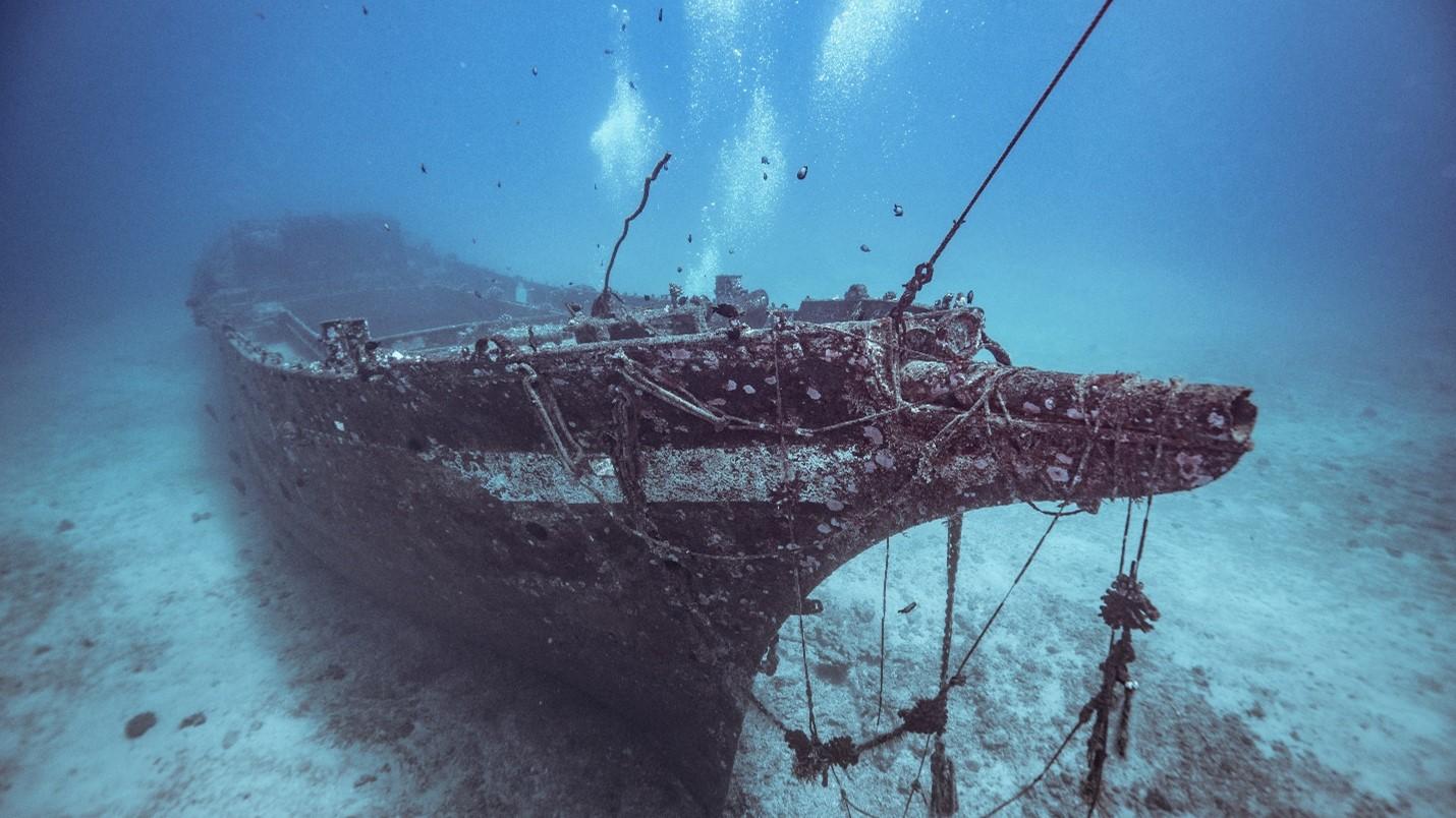 1430x804 New Study Finds 19th Century Wooden Shipwrecks To Be Thriving Habitats For Deep Sea Microbiomes & Research News