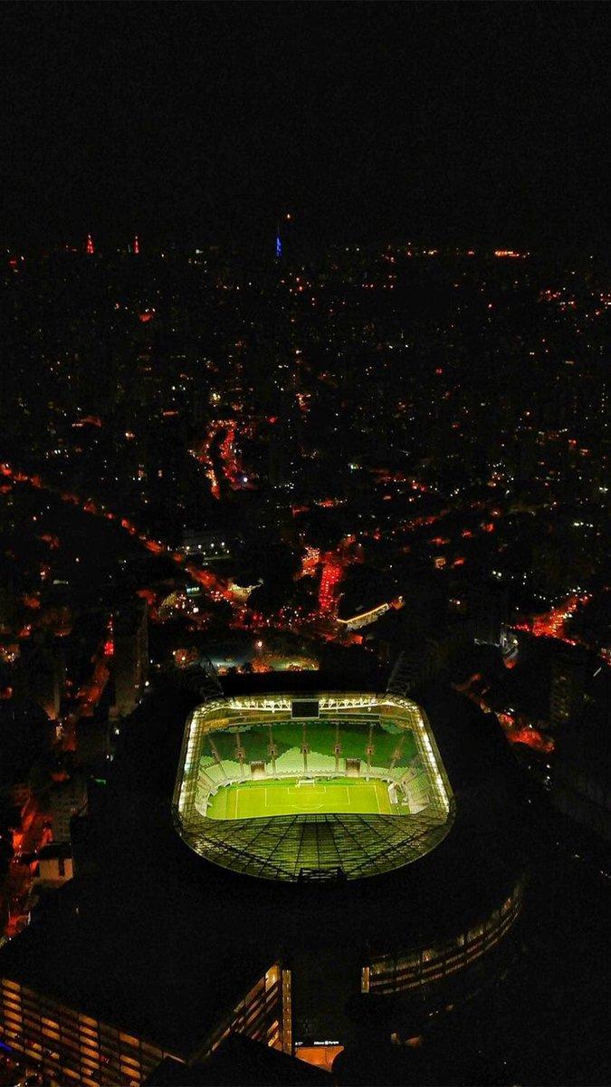 675x1200 Allianz Parque Wallpaper