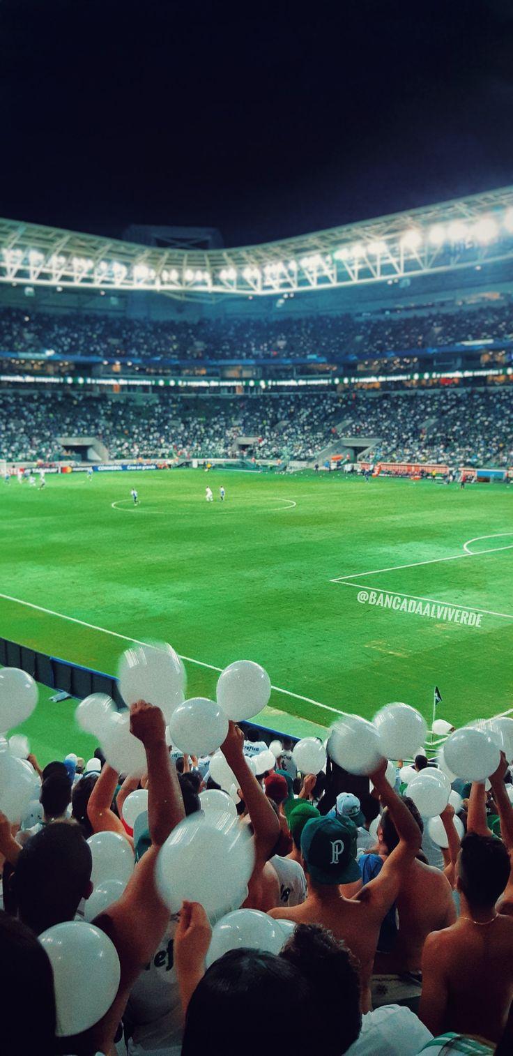 736x1514 Torcida Palmeiras. Arena allianz parque, Verdão palmeiras, Palmeiras