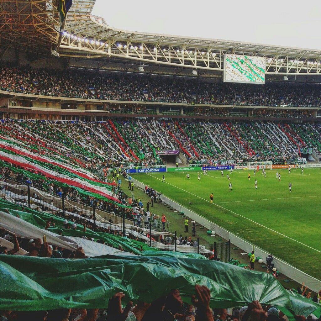 1024x1024 Bottura's pins. Verdão palmeiras, Wallpaper palmeiras, Palmeiras