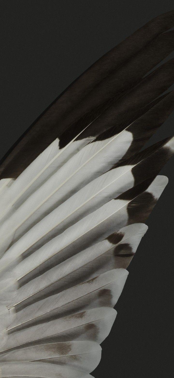 720x1560 Pixel 7. Google pixel wallpaper, Android wallpaper vintage, System wallpaper
