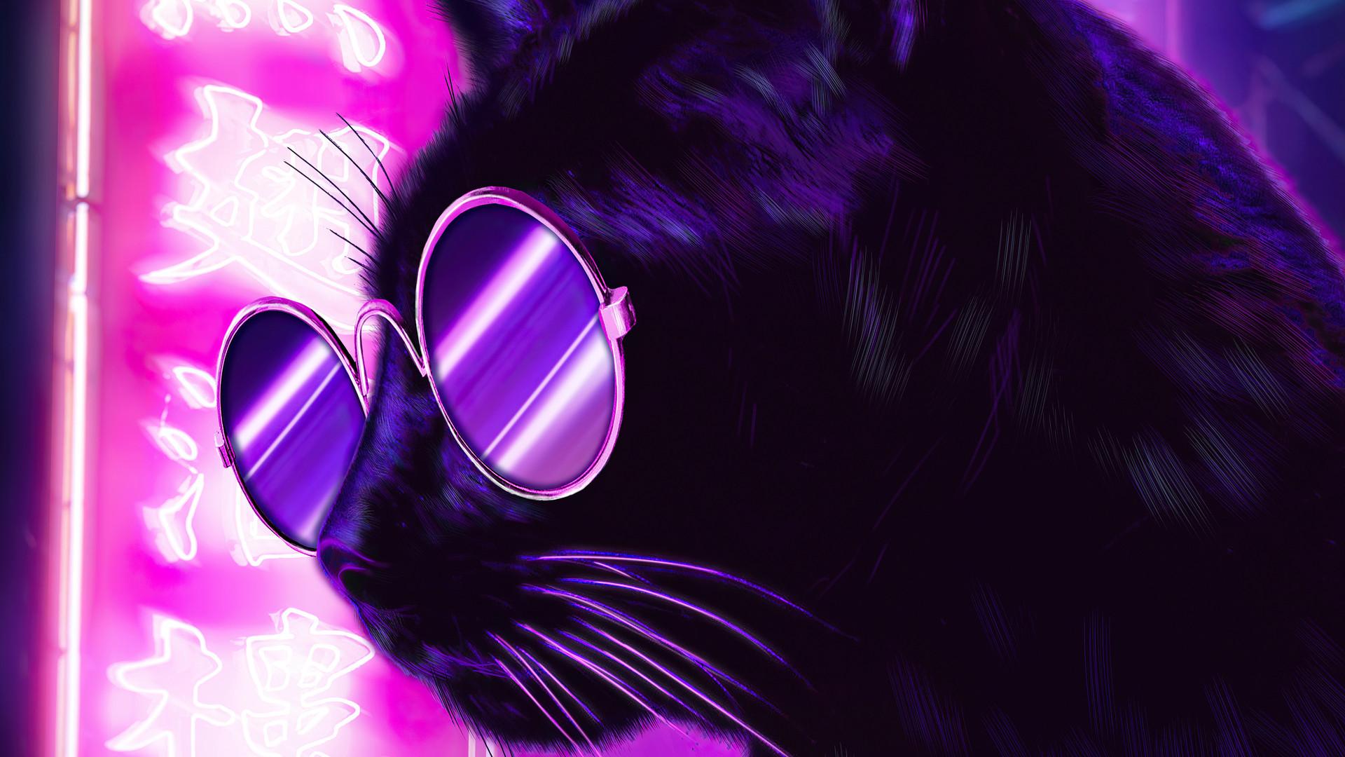 1920x1080 Cat Glasses Neon Purple Nights 4k Laptop Full HD 1080P HD 4k Wallpaper, Image, Background, Photo and Picture