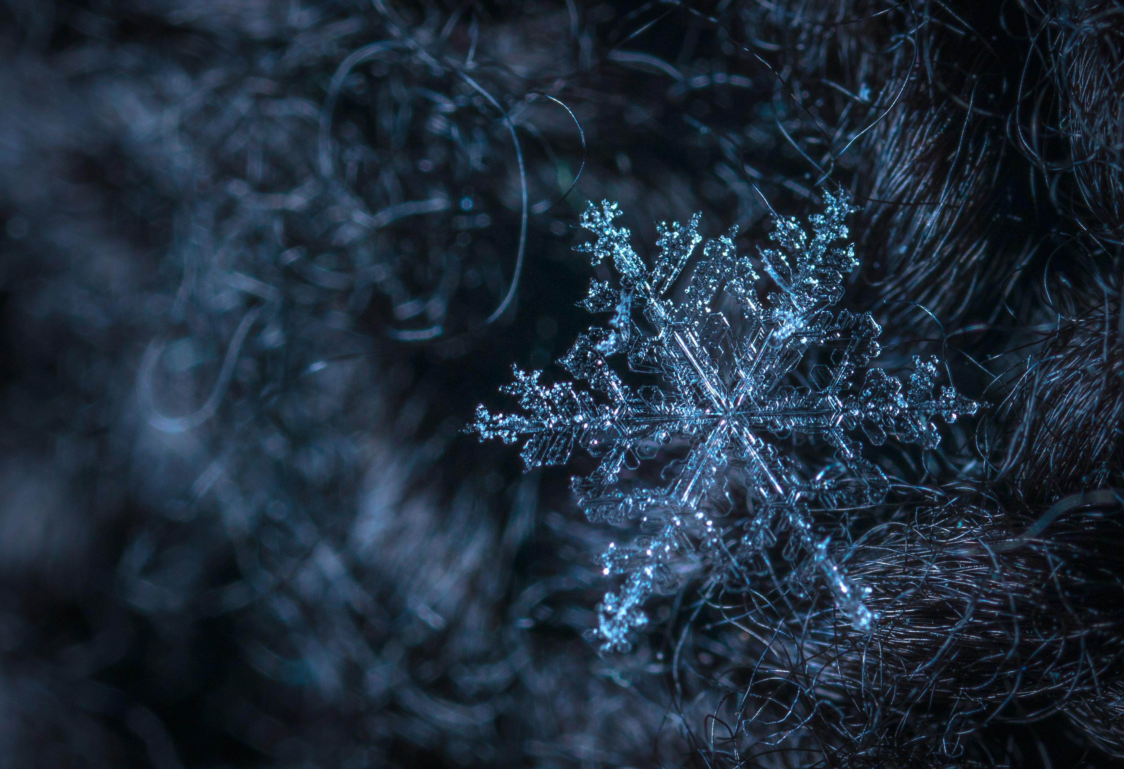 3628x2482 Winter Wallpaper Photo, Download Free Winter Wallpaper & HD Image