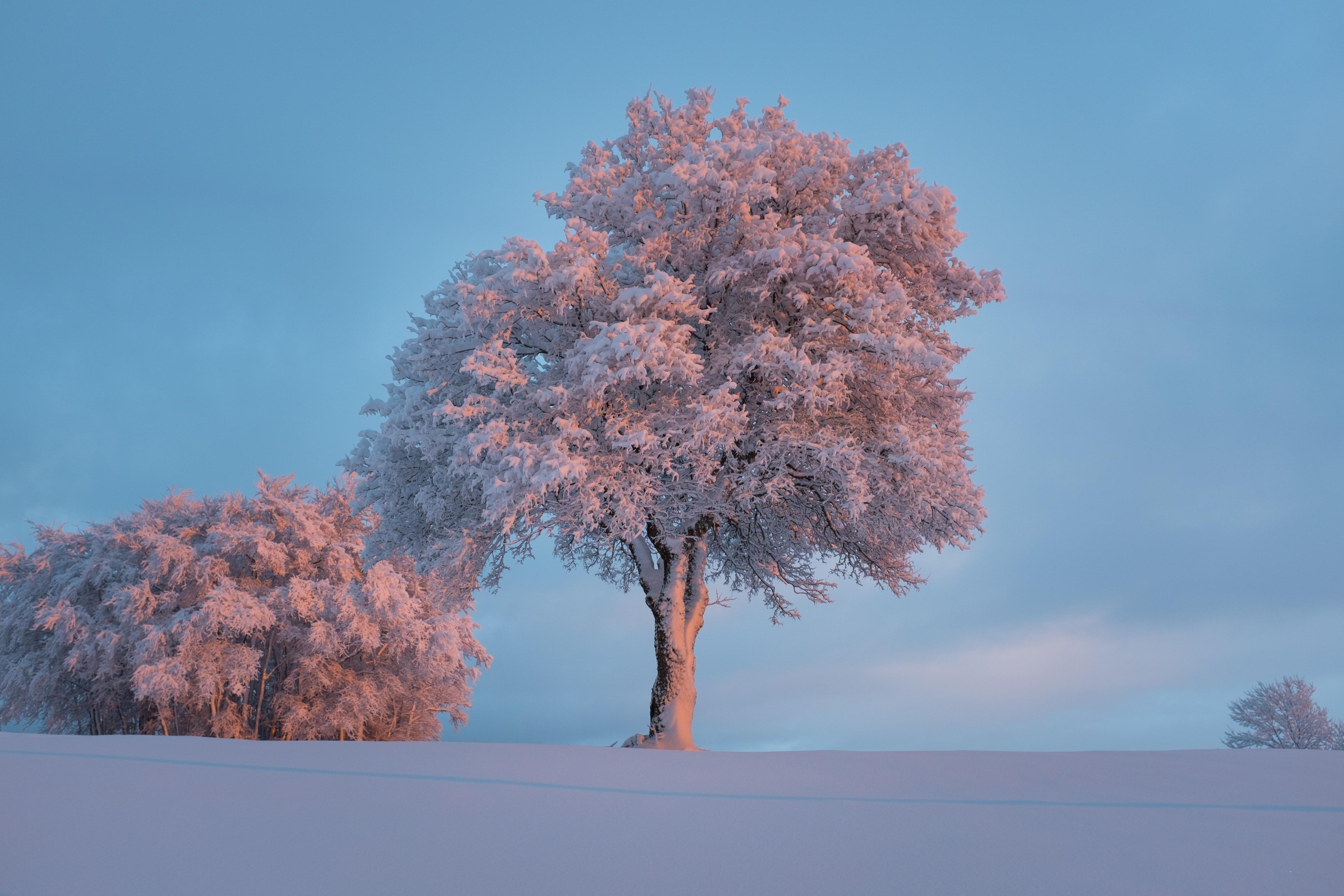 4771x3181 Winter Wallpaper Photo, Download Free Winter Wallpaper & HD Image