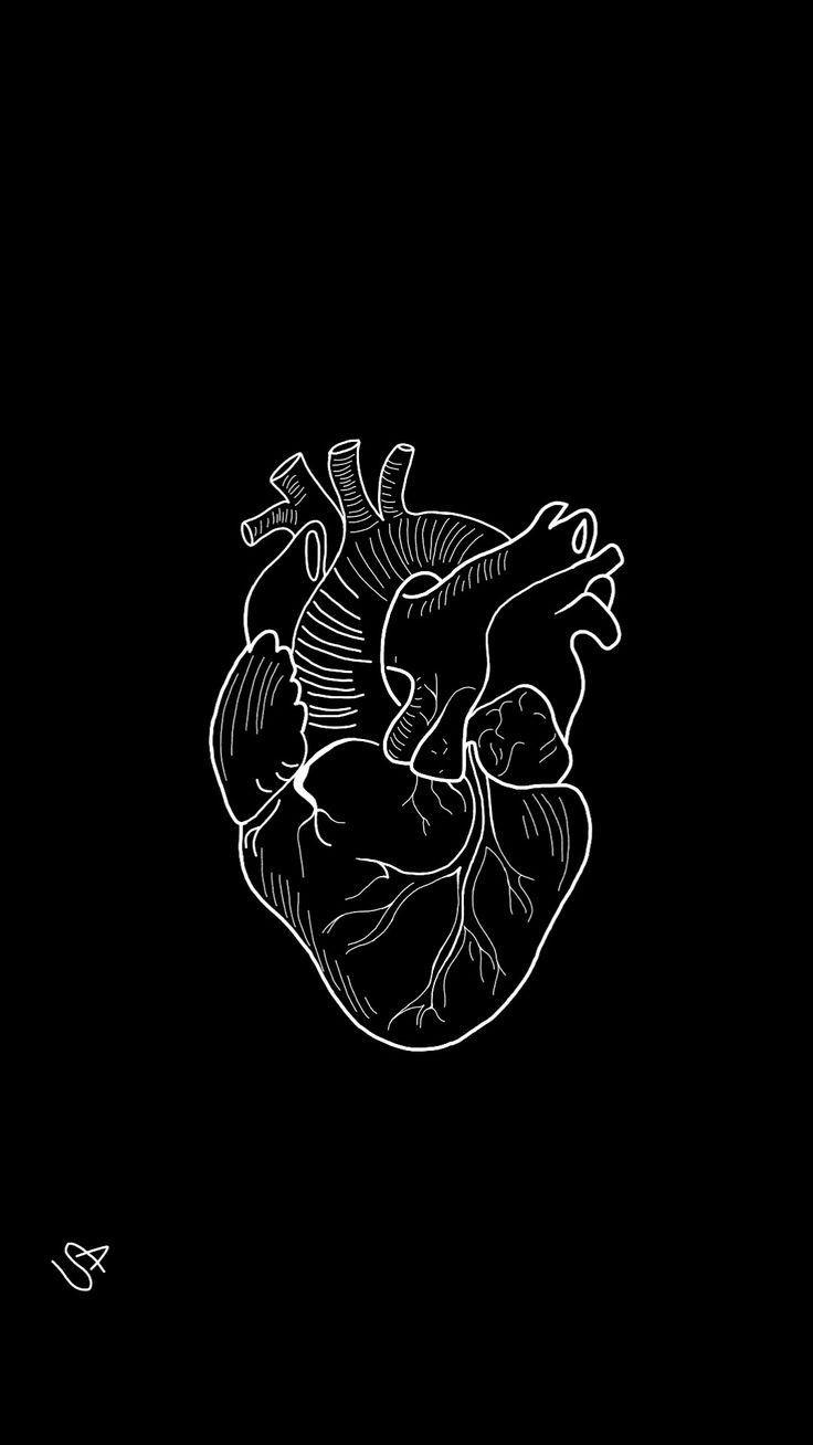 736x1308 روح ❤️‍
