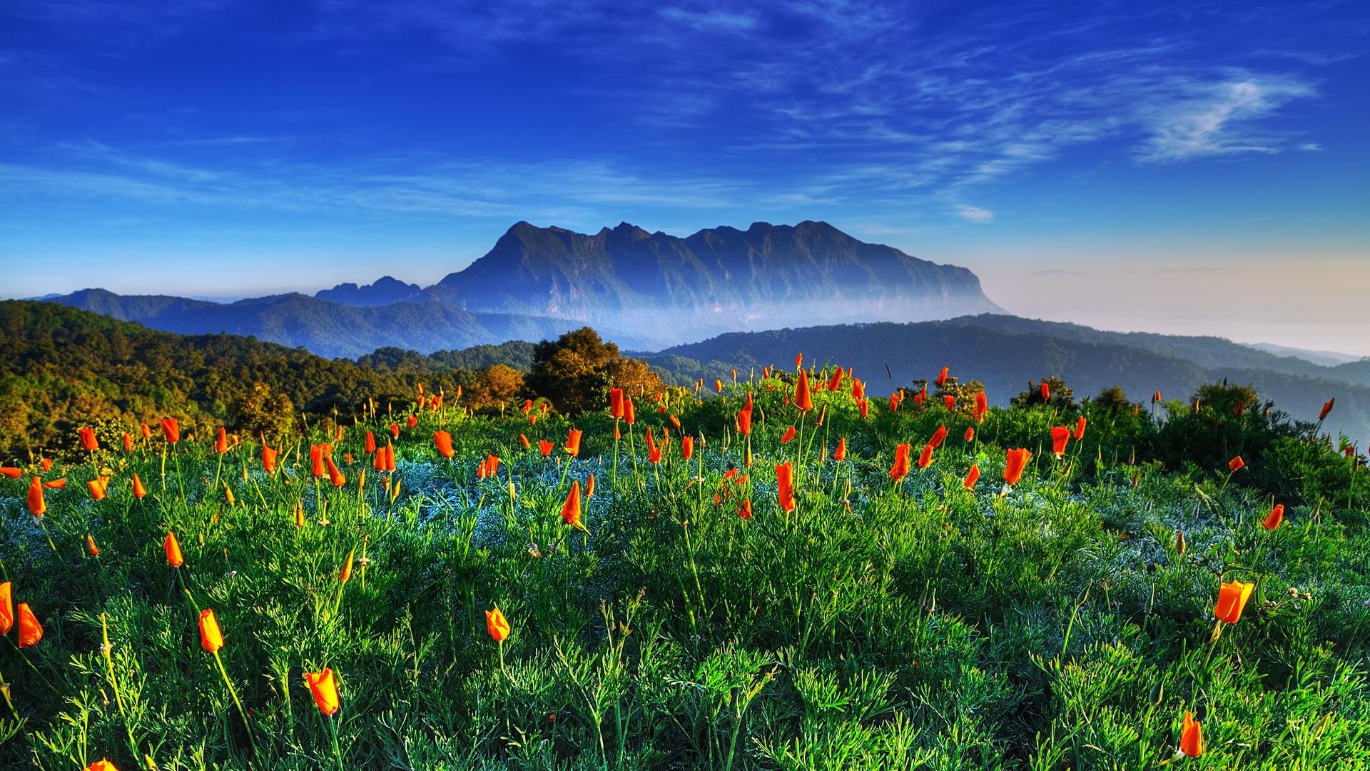 1920x1080 Chiang Mai Thailand Chiang Dao Mountain wildlife sanctuaries Wallpaper