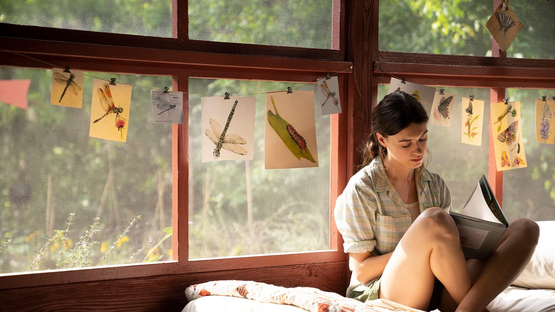 1920x1080 Watch The Trailer For Where The Crawdads Sing Starring Daisy Edgar Jones