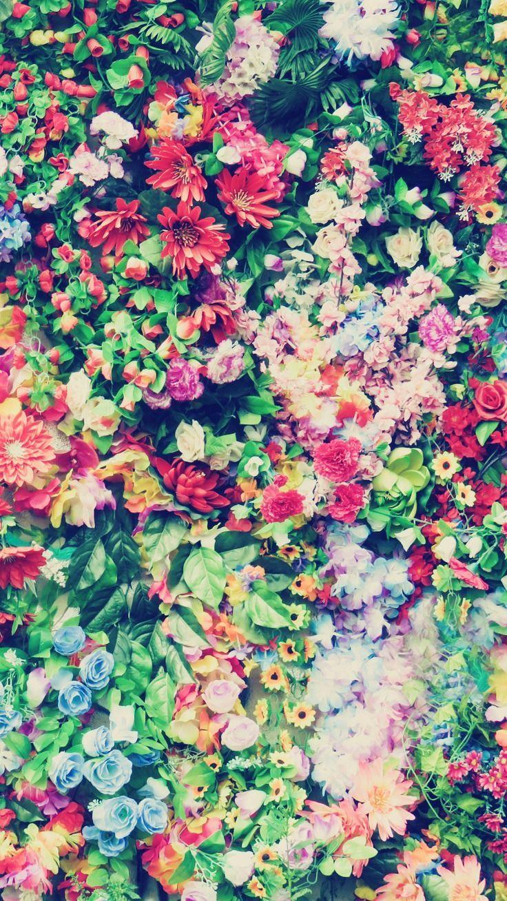 736x1308 best Wallpaper image. Nature, Background