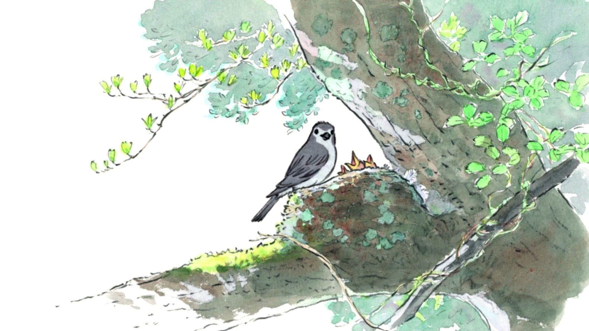 1920x1080 black and white bird on tree illustration The Tale of Princess Kaguya # princess #Kaguya animated movies. Tree illustration, Black and white birds, Princess kaguya
